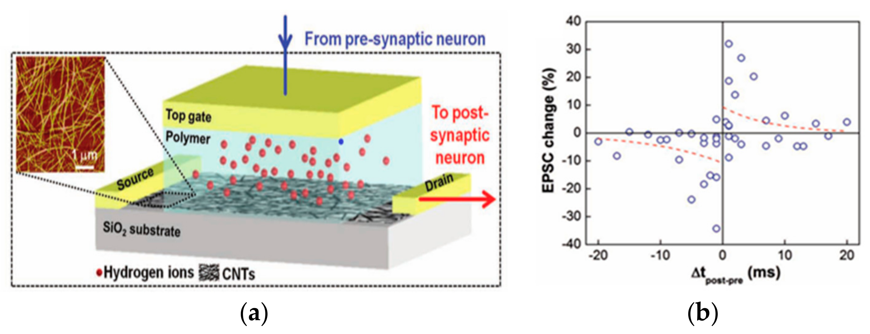 Sensors 23 05413 g029 Sensors 23 05413 g029