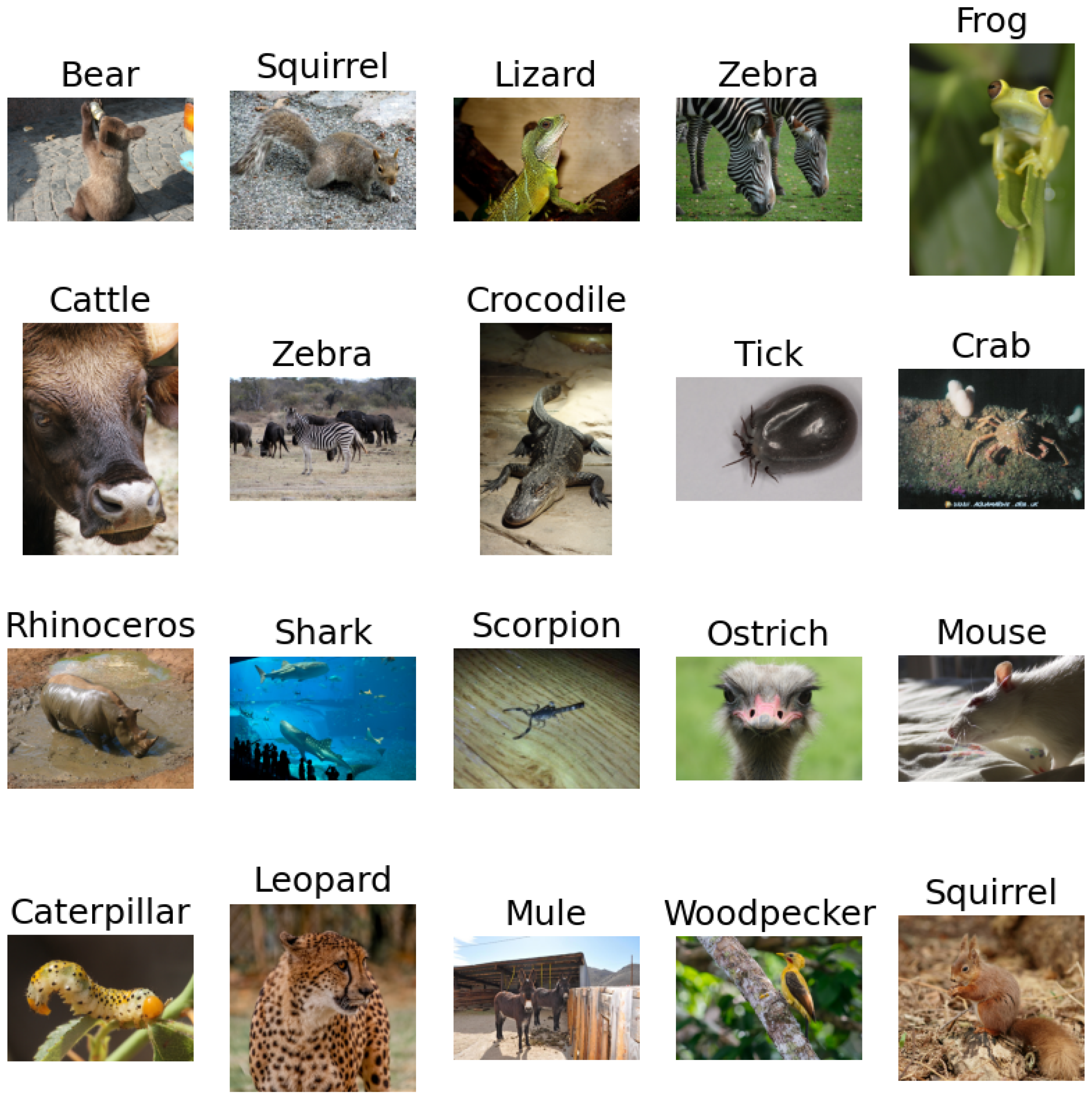 Sensors 23 05424 g002