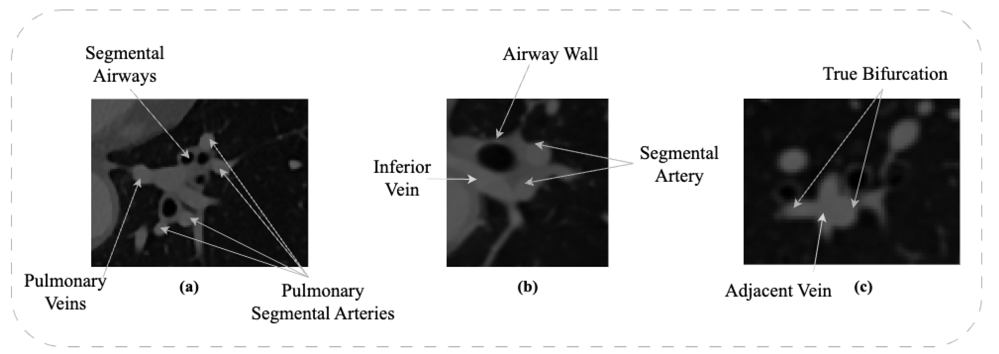 Sensors 23 05427 g001 Sensors 23 05427 g001