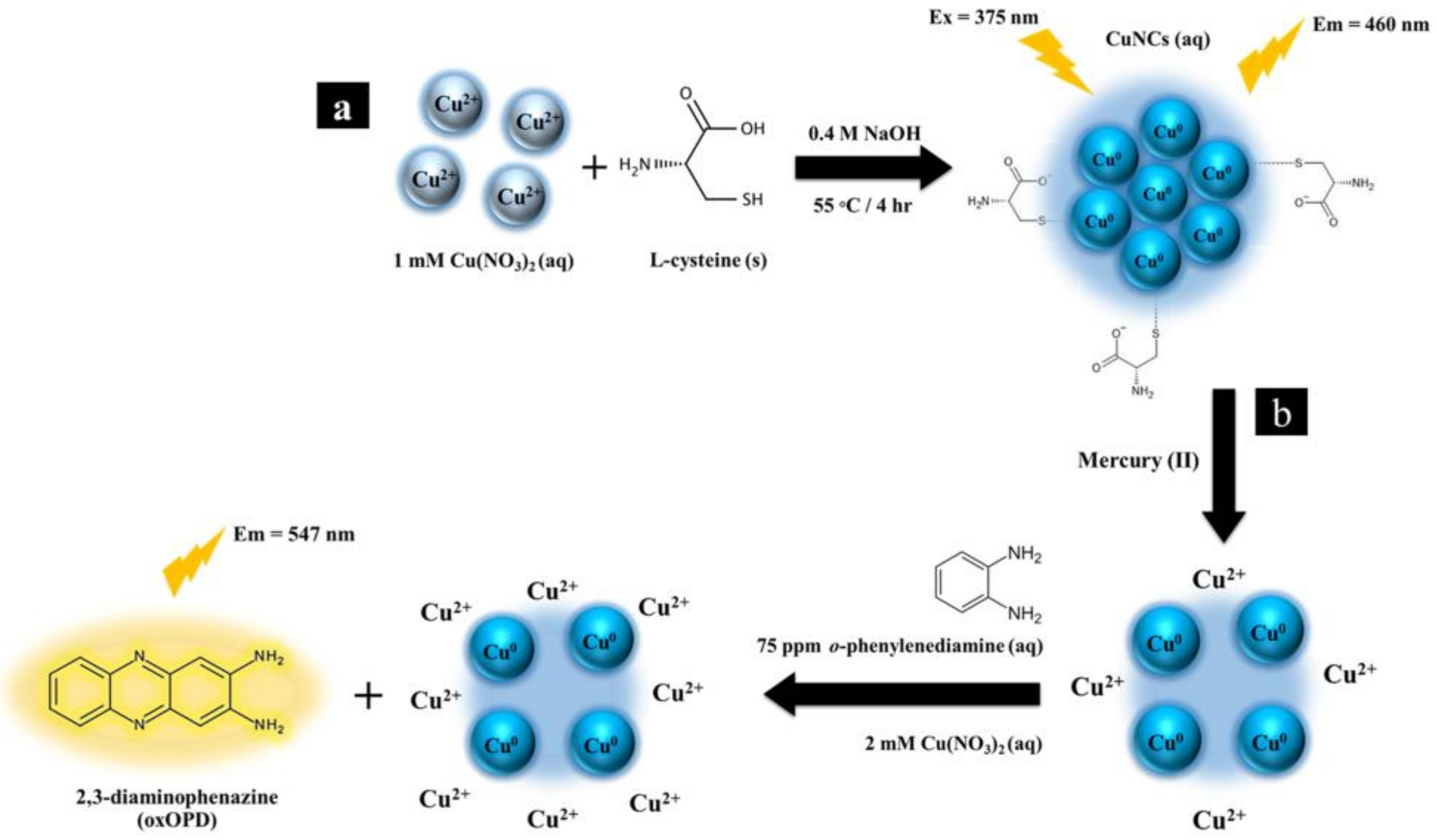 Sensors 23 05429 sch001 Sensors 23 05429 sch001