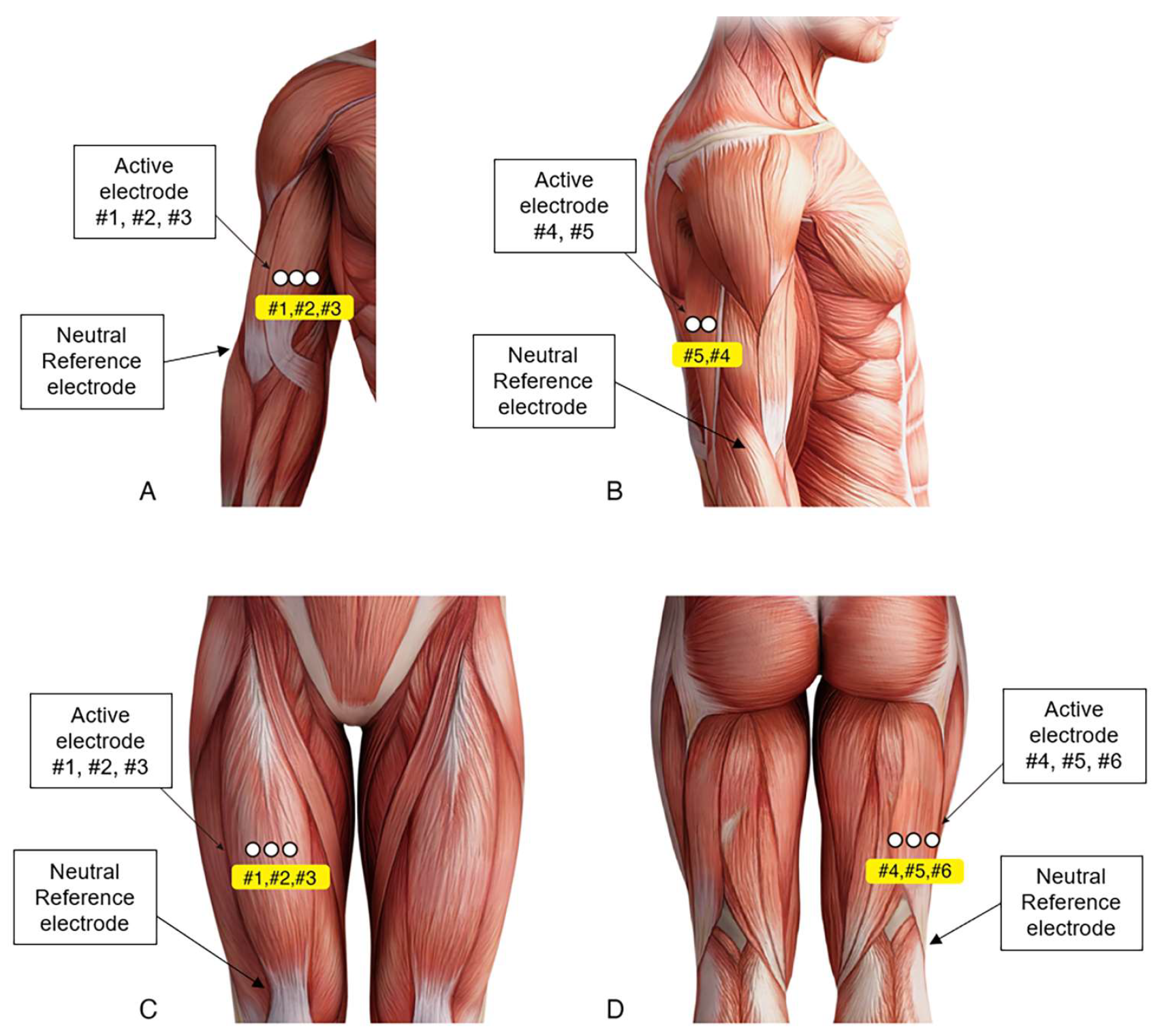 Sensors 23 05490 g002 Sensors 23 05490 g002