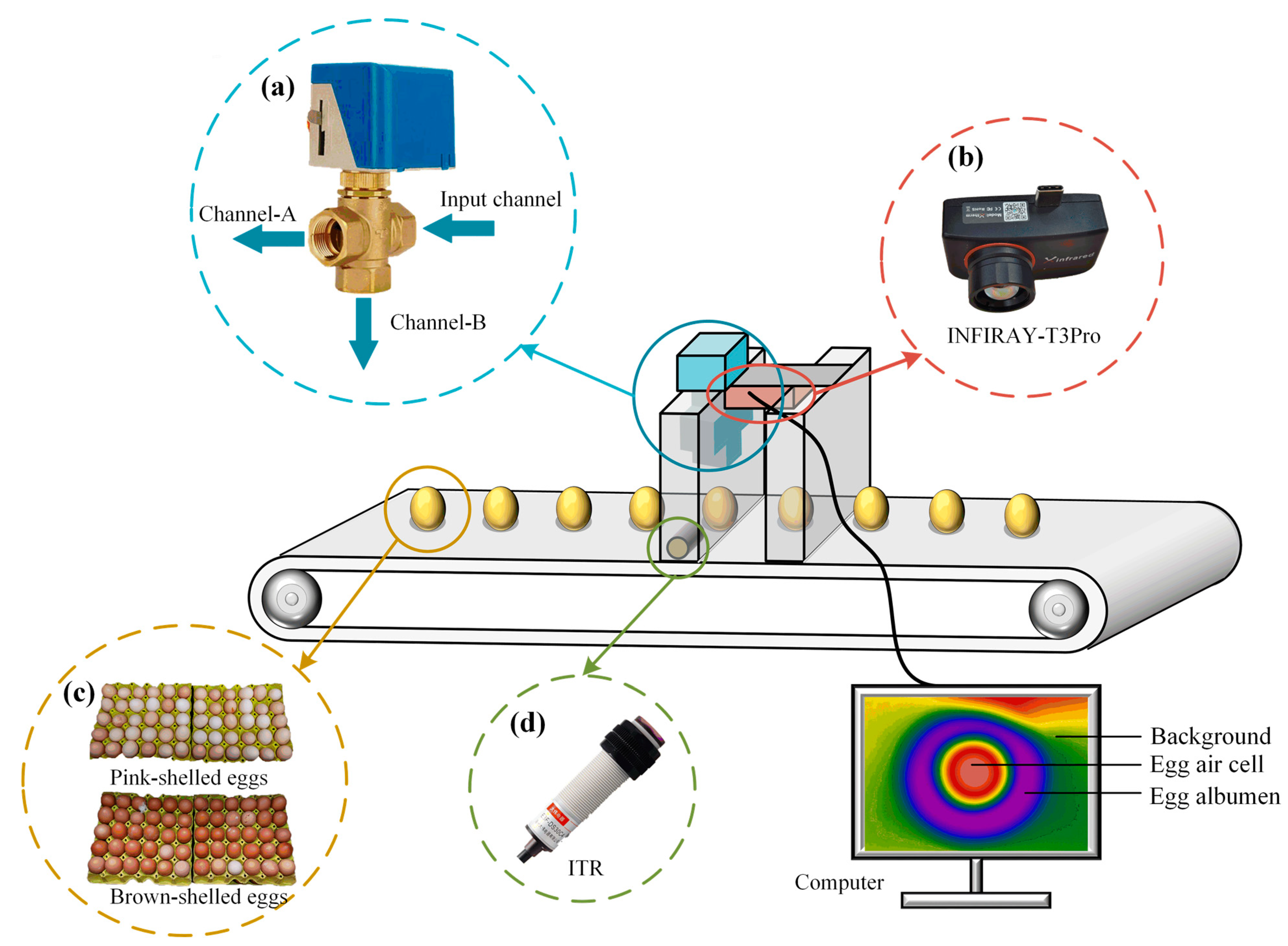 Sensors 23 05530 g005 Sensors 23 05530 g005