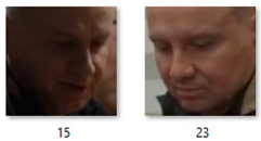 Sensors 23 05554 i005