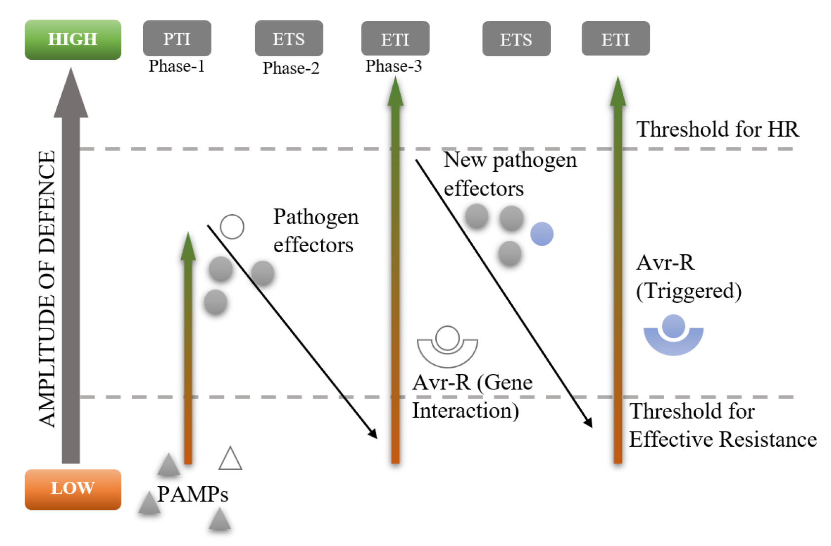 Sensors 23 05562 g004