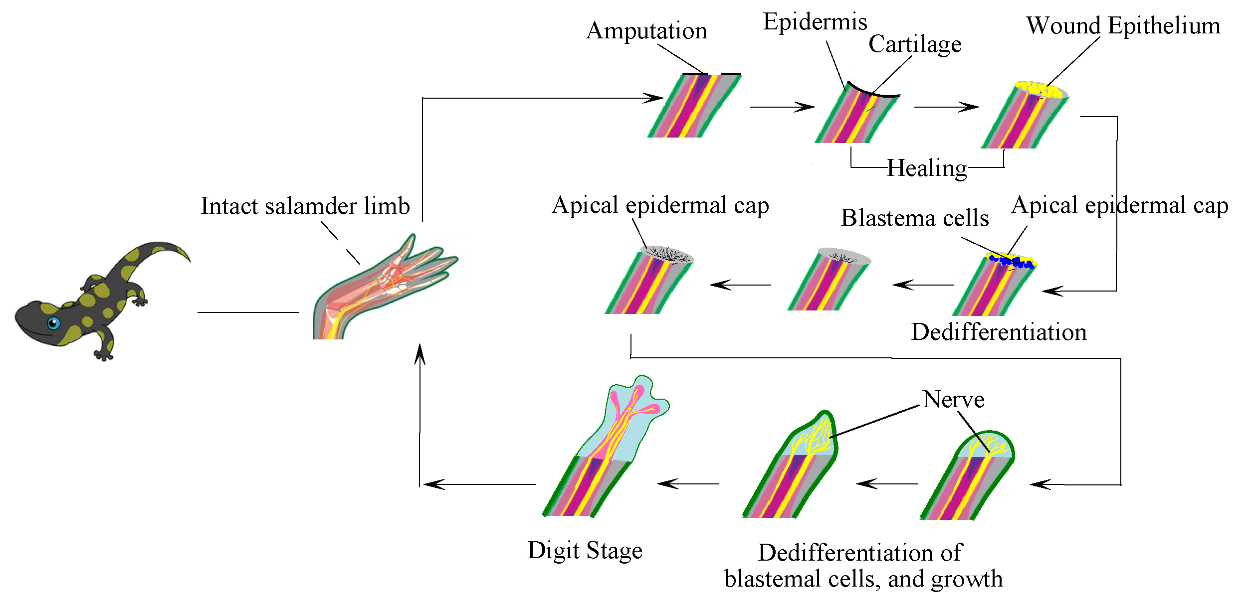 Sensors 23 05562 g006