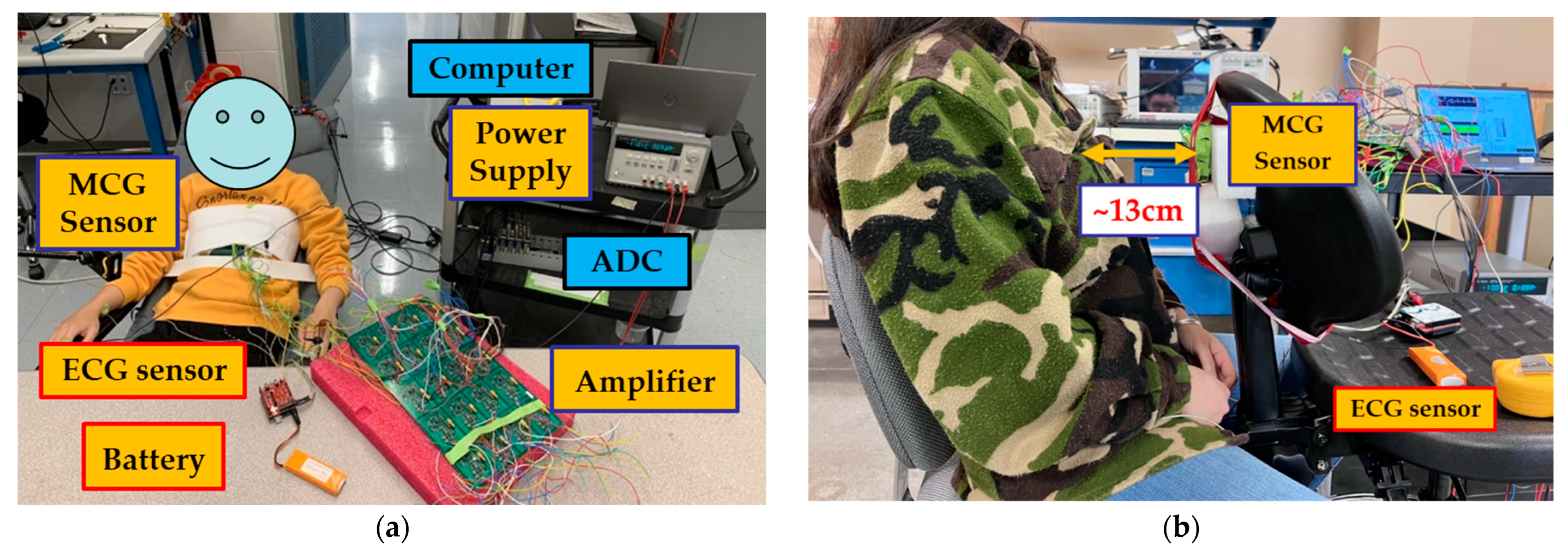 Sensors 23 05567 g002