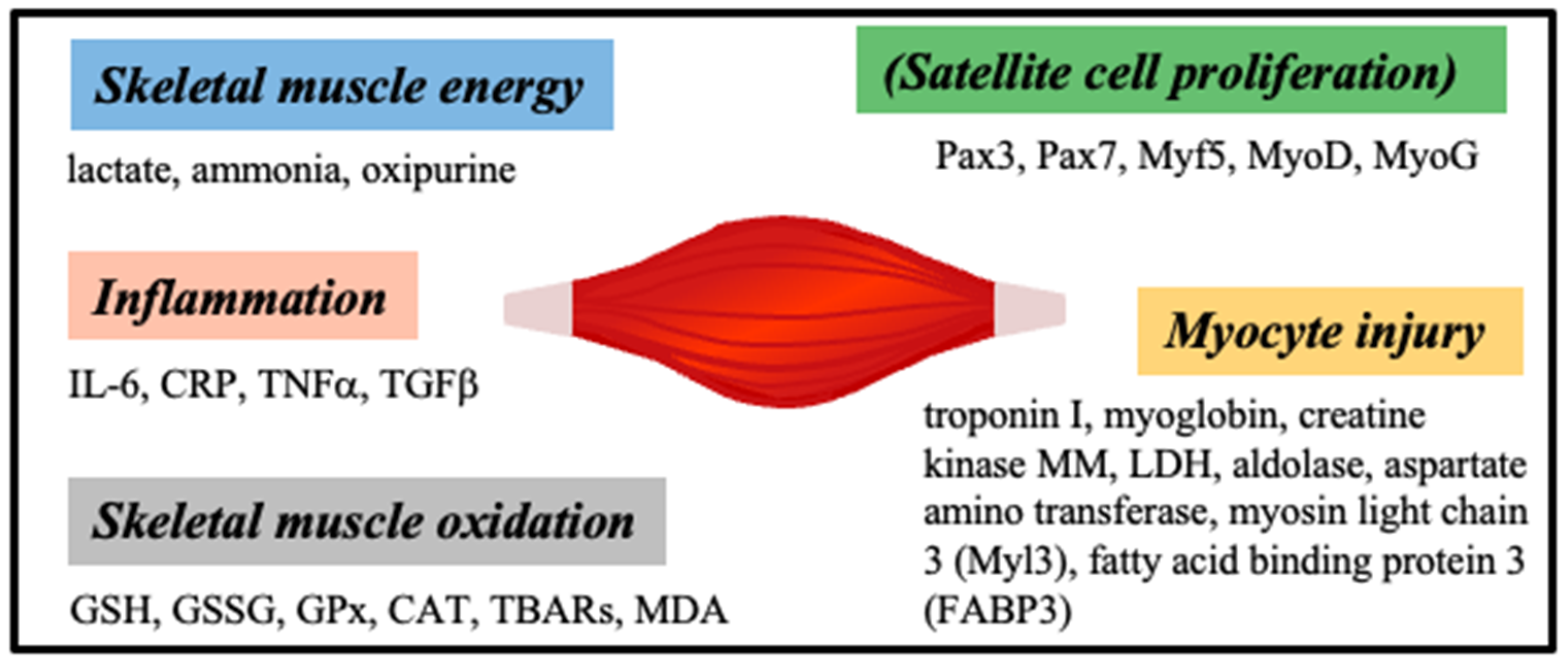 Sensors 23 05625 g006 Sensors 23 05625 g006