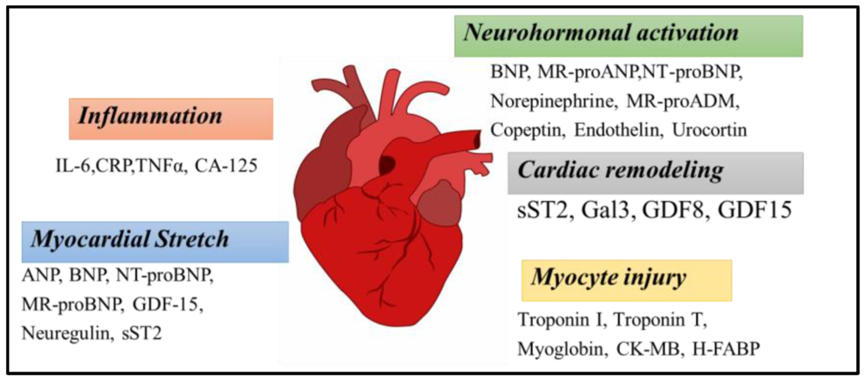 Sensors 23 05625 g007 Sensors 23 05625 g007