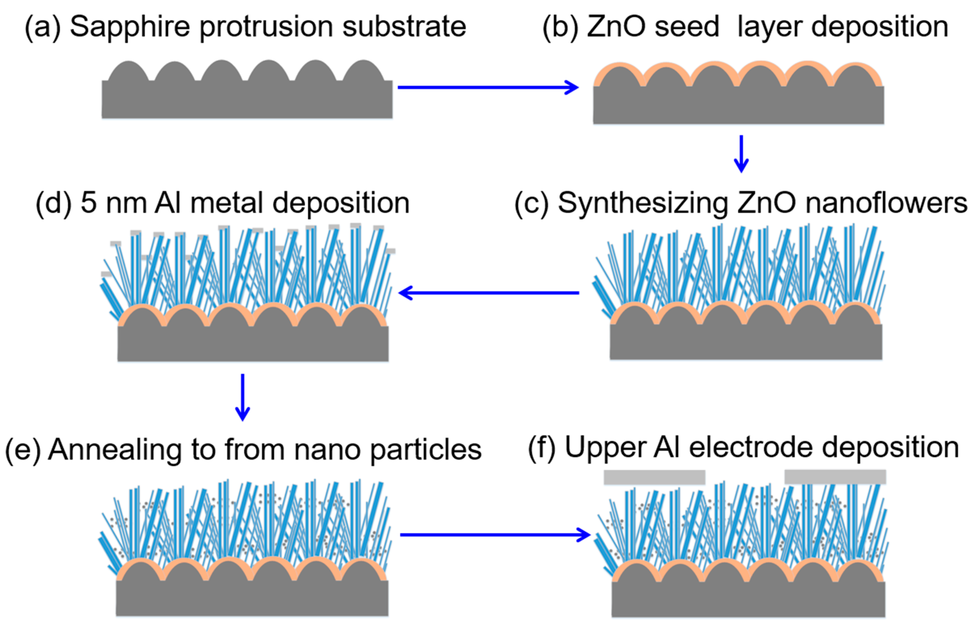 Sensors 23 05629 g002