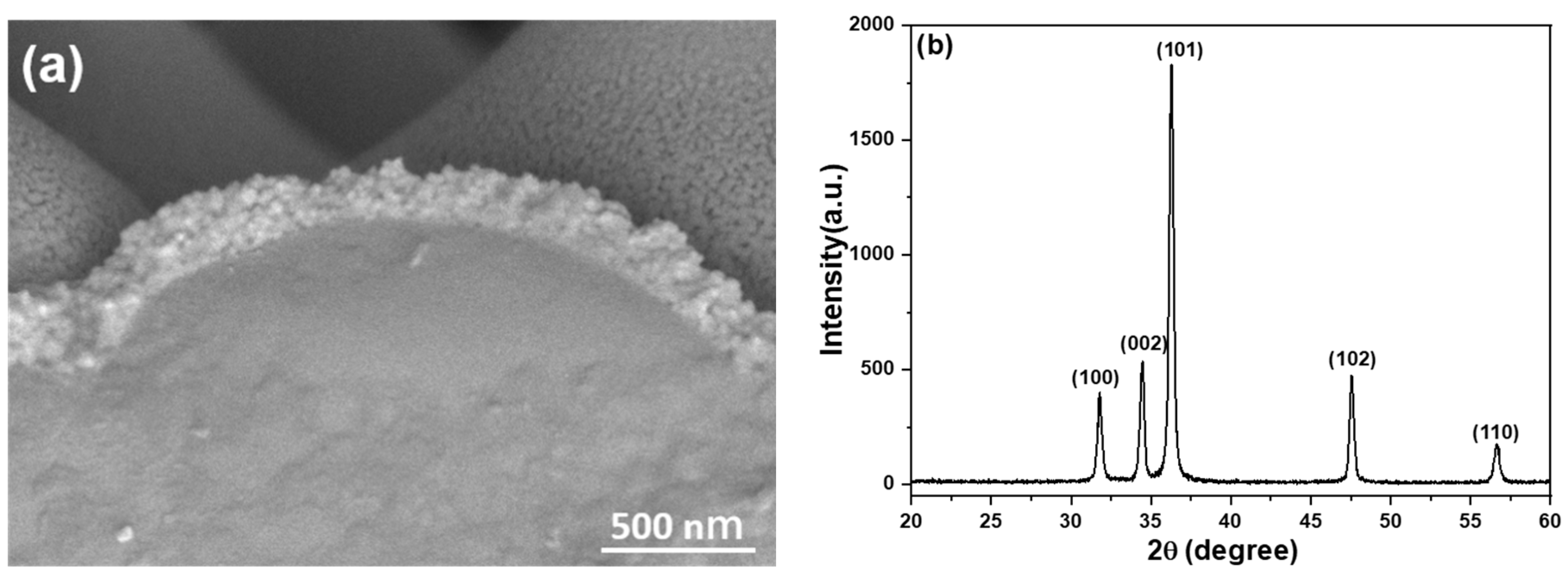 Sensors 23 05629 g003