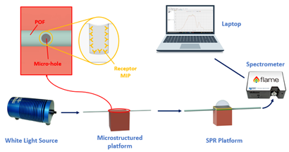 Sensors 23 05662 i001