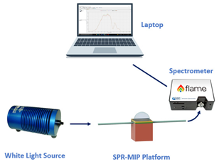 Sensors 23 05662 i002