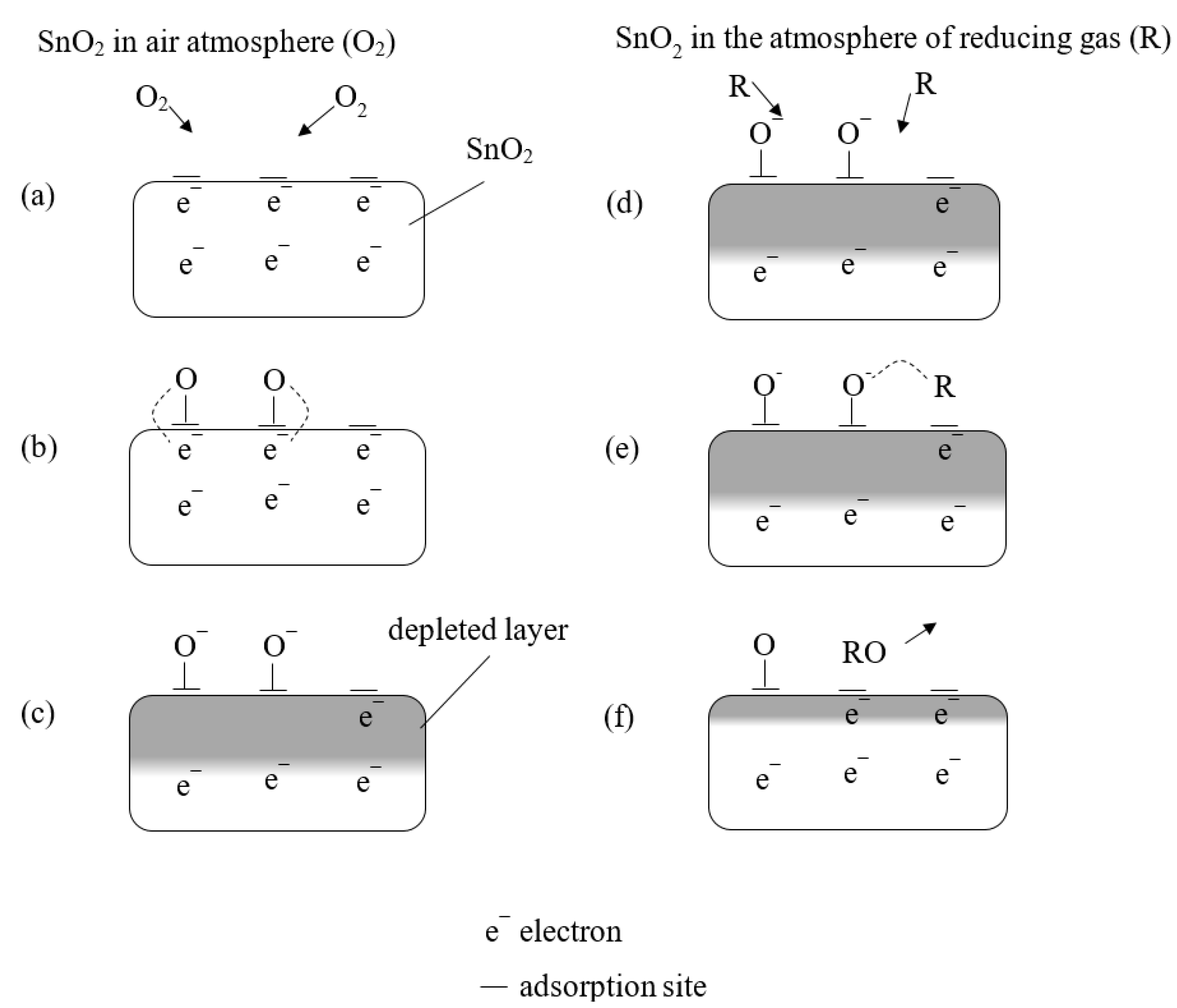 Sensors 23 05716 g003 Sensors 23 05716 g003