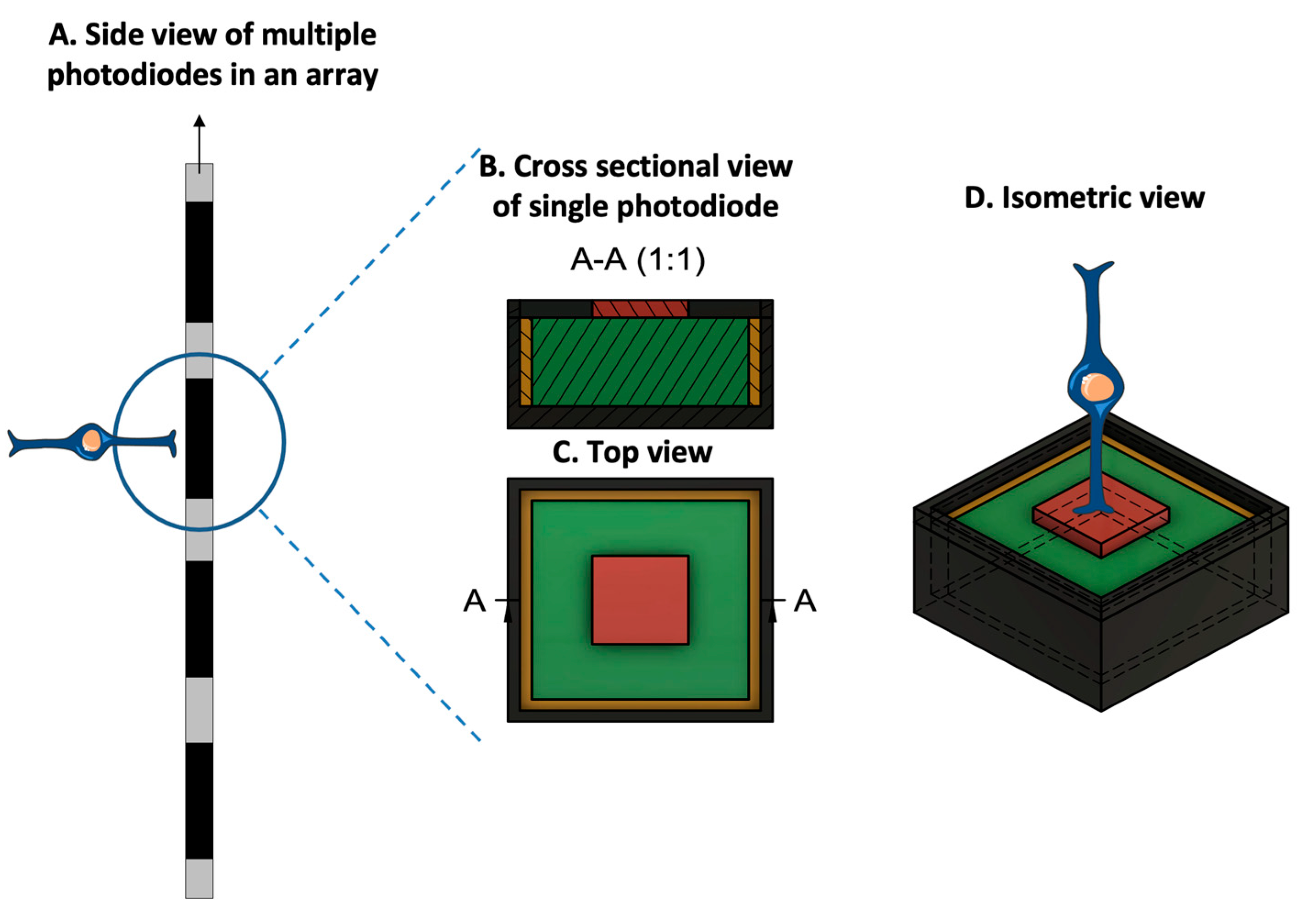 Sensors 23 05782 g004 Sensors 23 05782 g004