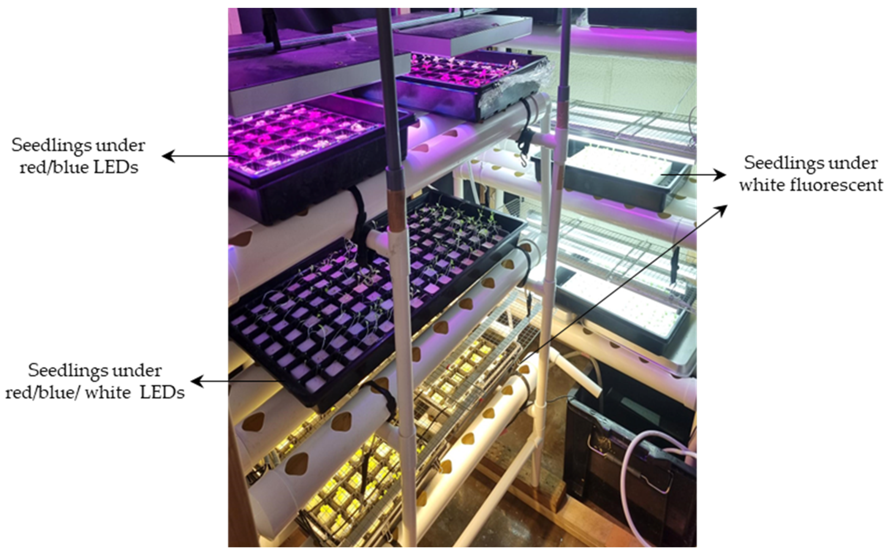 Sensors 23 05790 g002