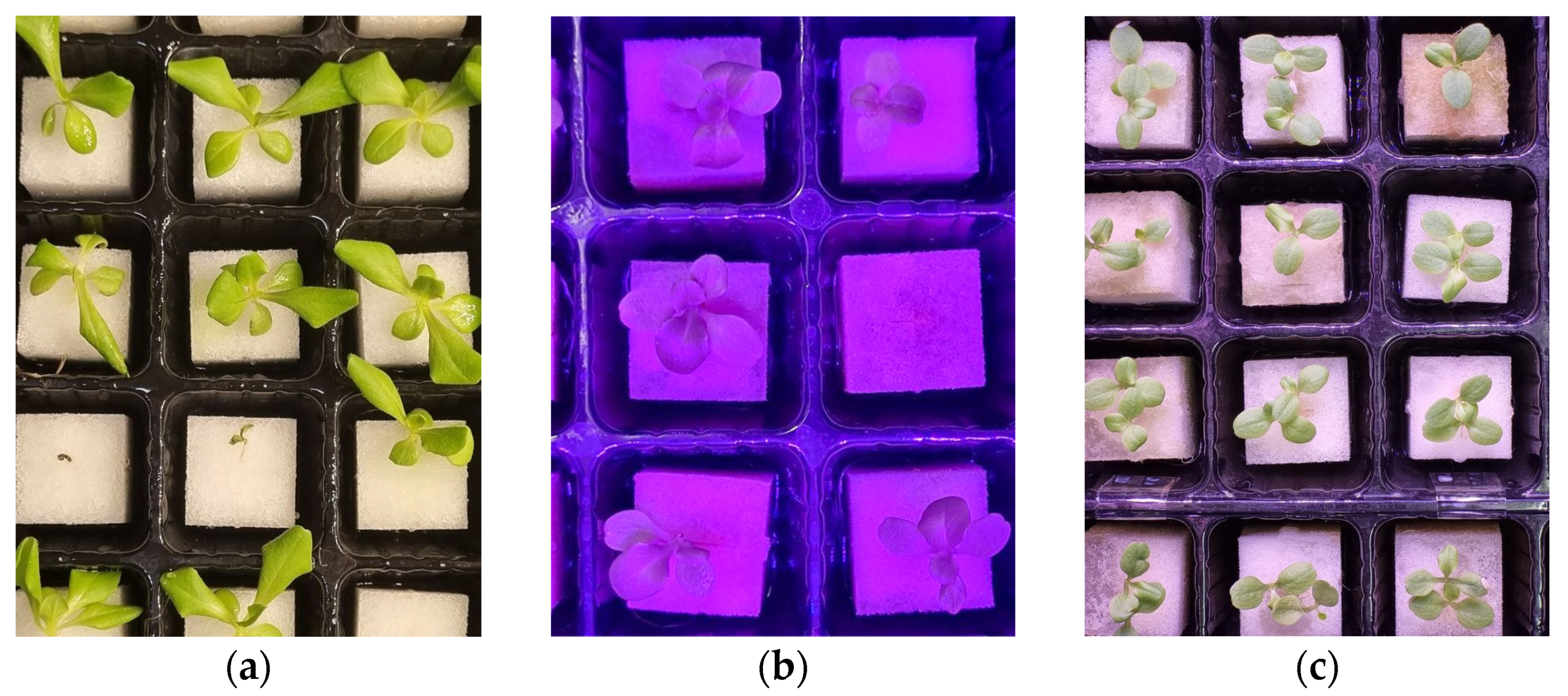 Sensors 23 05790 g003