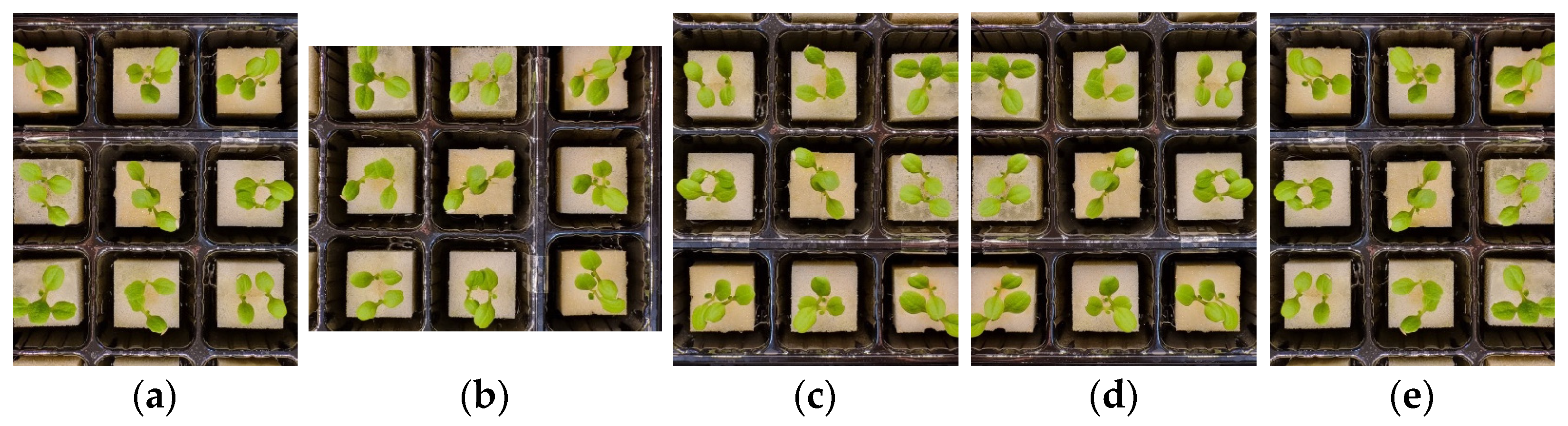 Sensors 23 05790 g004