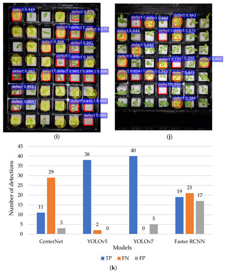 Detection of Defective Lettuce Seedlings Grown in an Indoor