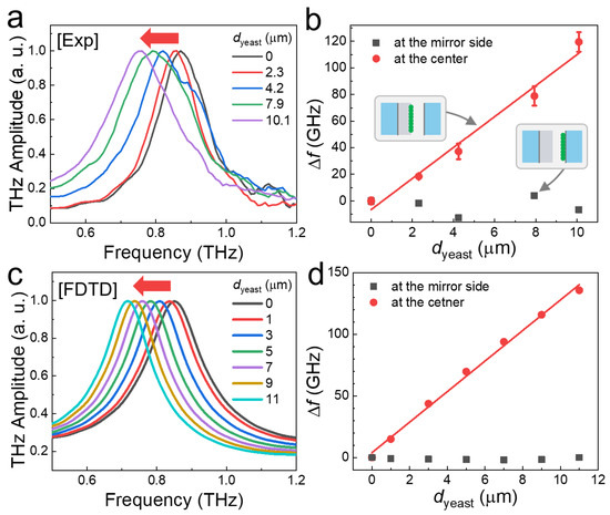 Developing a Novel Terahertz Fabry–Perot Microcavity
