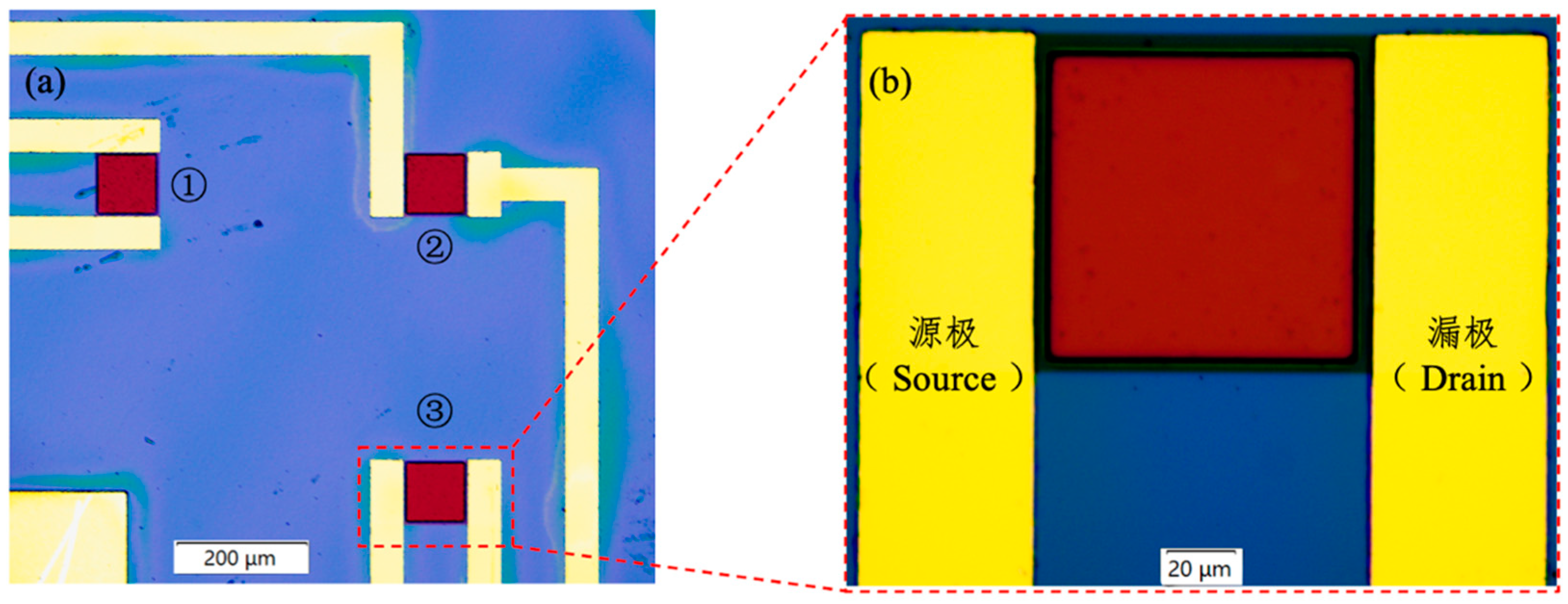 Sensors 23 05820 g001 Sensors 23 05820 g001