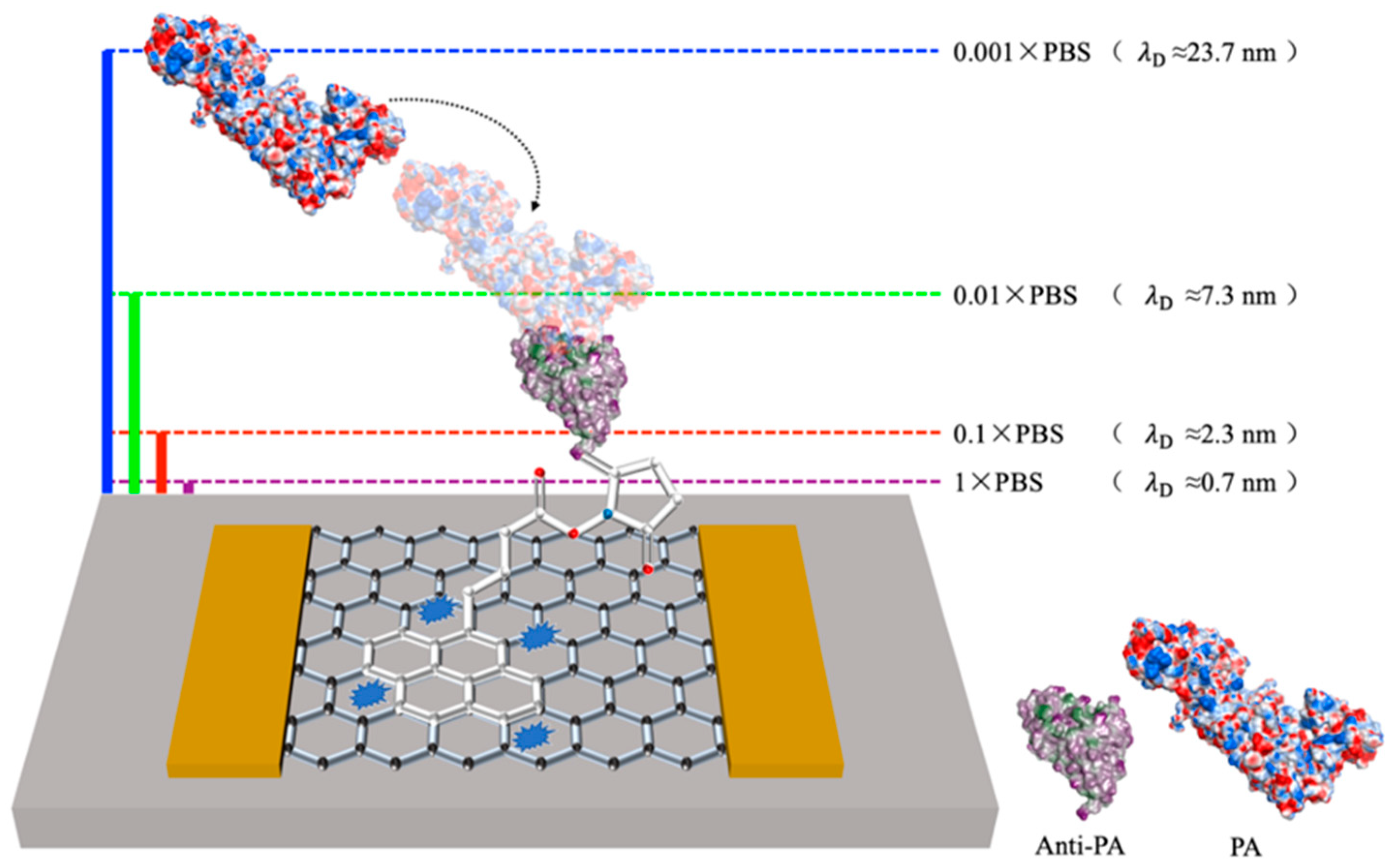 Sensors 23 05820 g002 Sensors 23 05820 g002