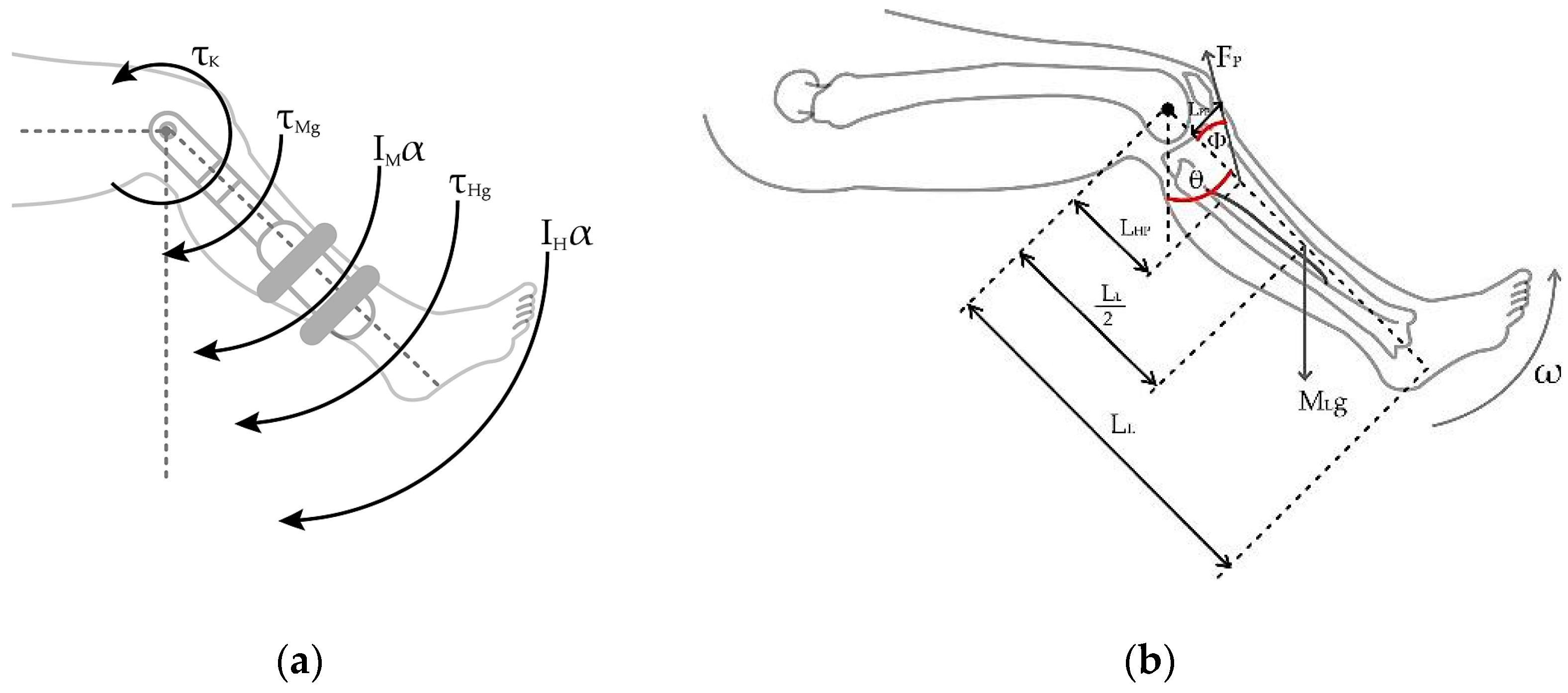 Sensors 23 05827 g005 Sensors 23 05827 g005