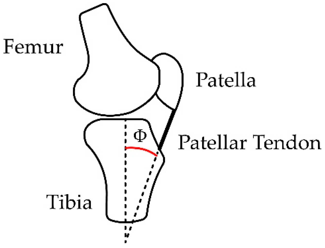 Sensors 23 05827 g006 Sensors 23 05827 g006