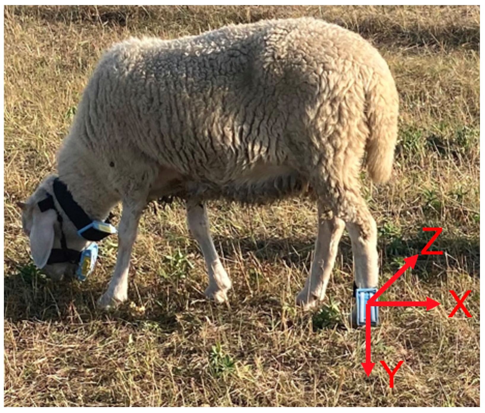 Sensors 23 05831 g002