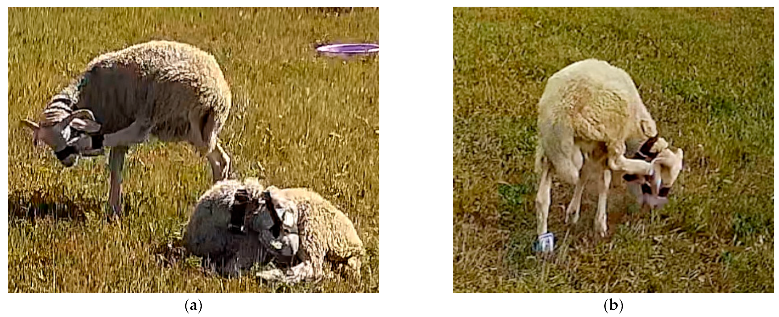 Sensors 23 05831 g008