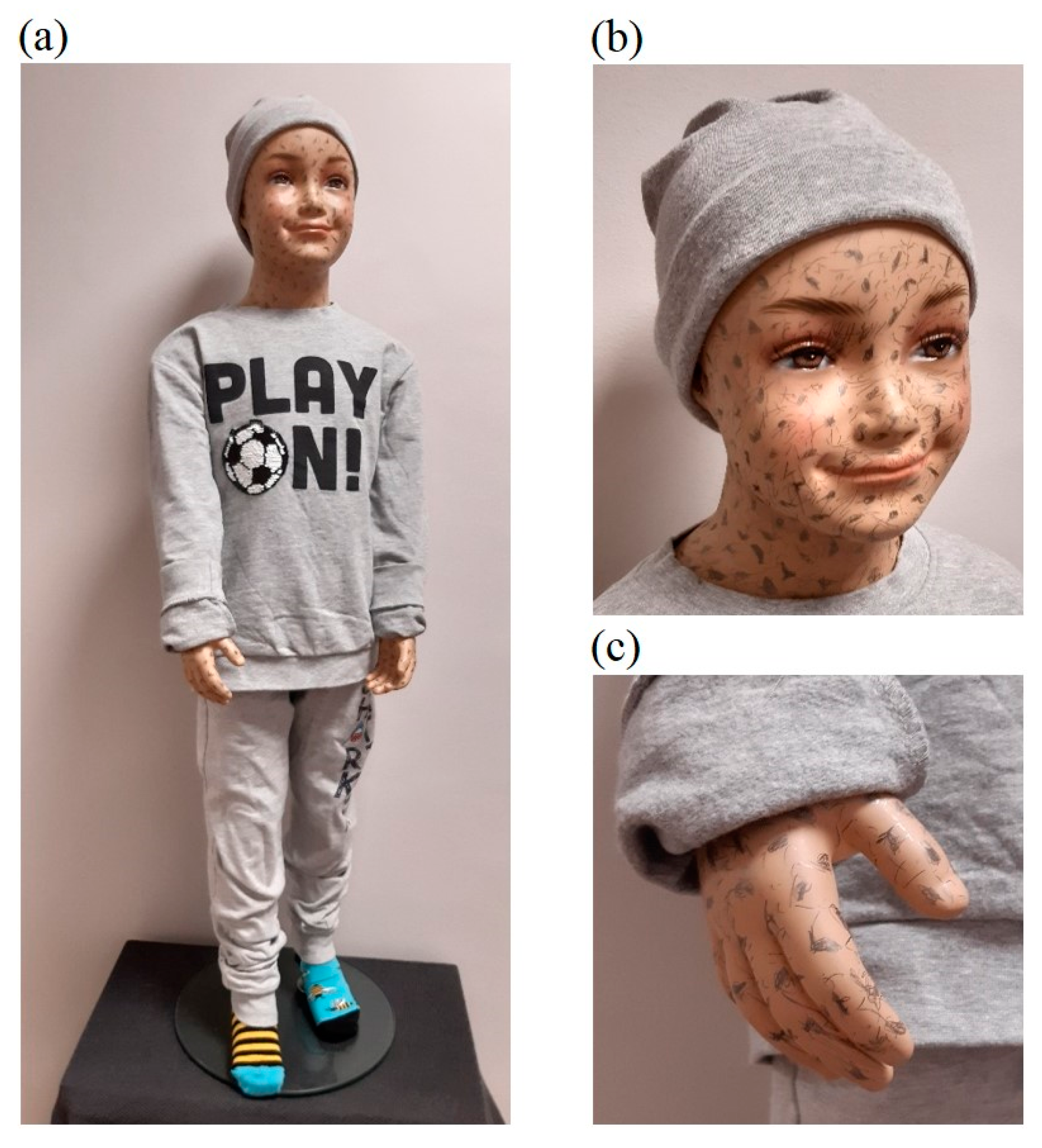 Sensors 23 05840 g011 Sensors 23 05840 g011