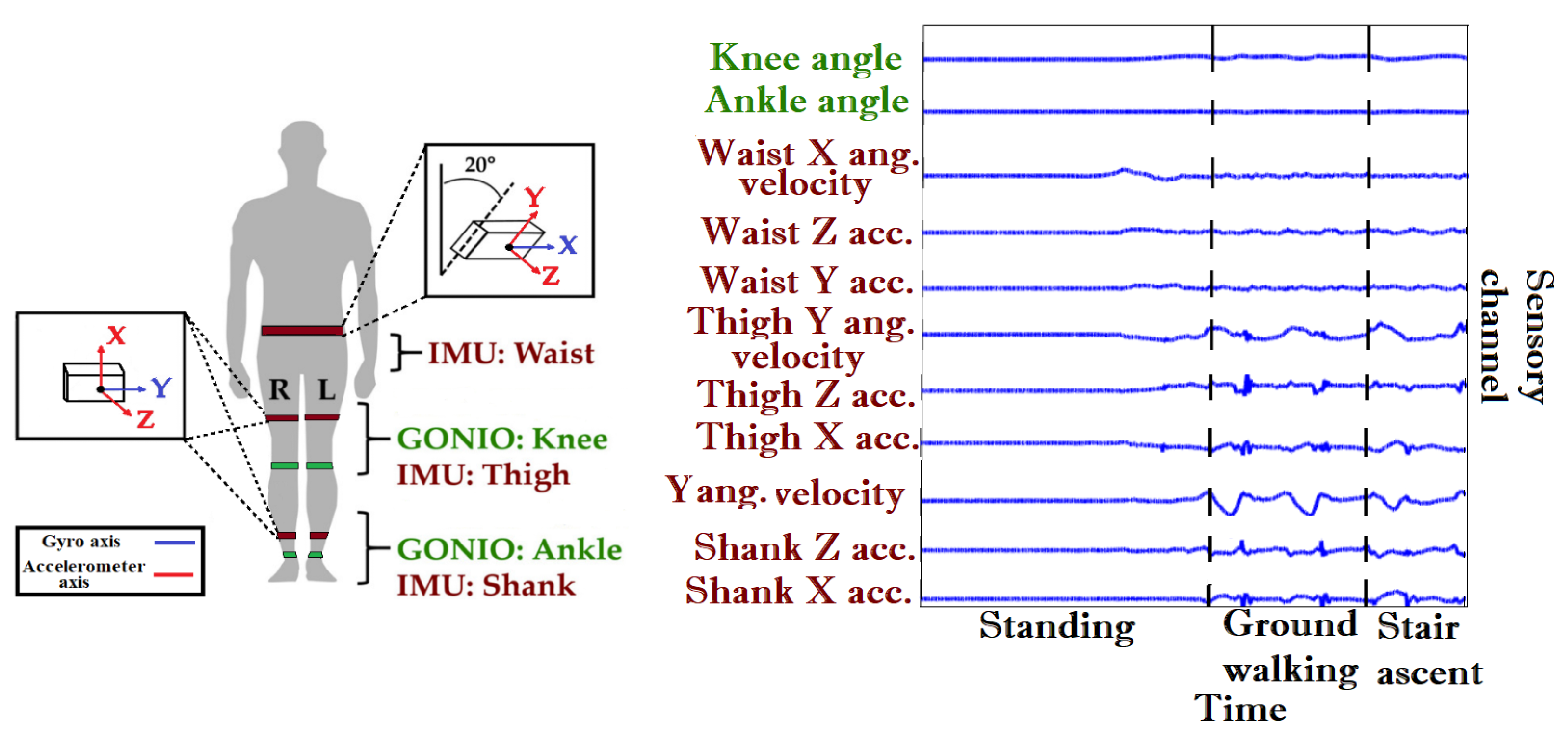 Sensors 23 05854 g001