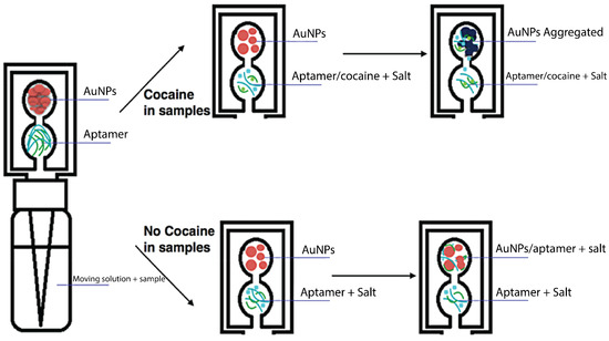 On the Application of Microfluidic-Based Technologies in Forensics: A ...