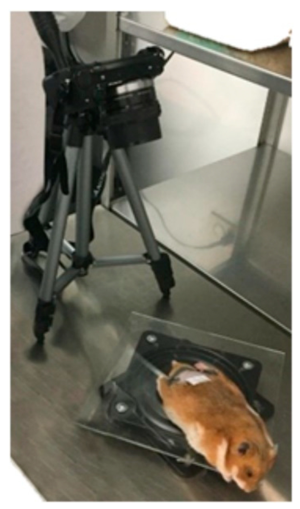 Sensors 23 05861 g001 Sensors 23 05861 g001