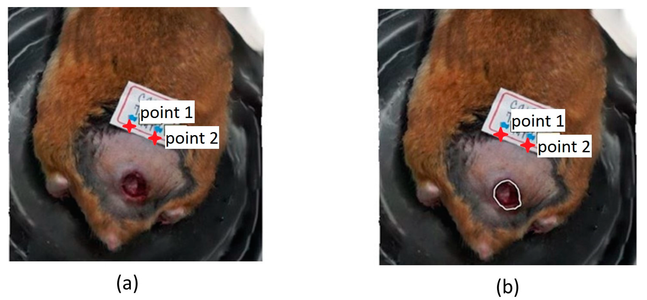 Sensors 23 05861 g003 Sensors 23 05861 g003