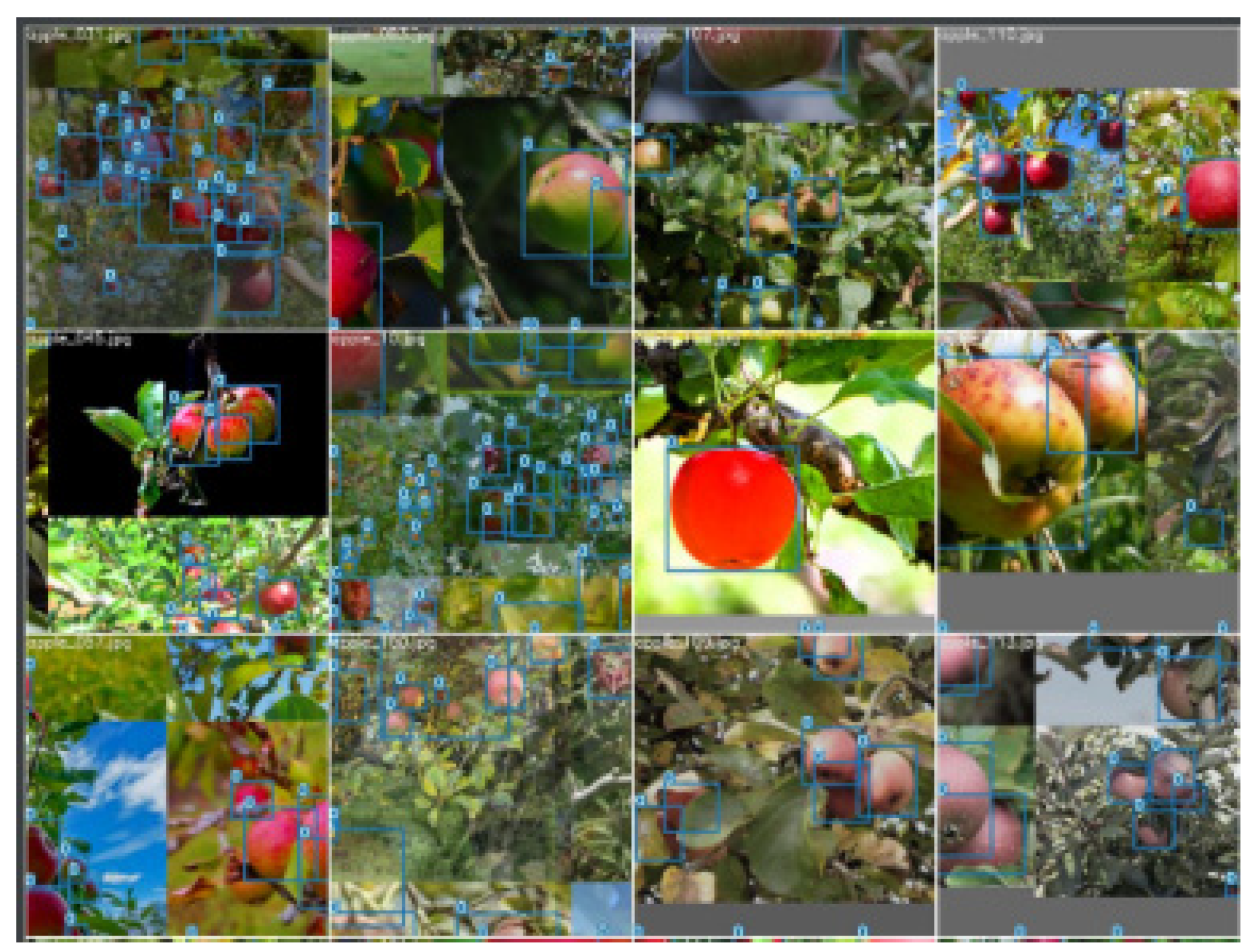 Fruit Detection and Counting in Apple Orchards Based on Improved Yolov7 ...
