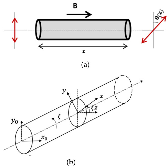Distributed Poloidal Magnetic Field Measurement in Tokamaks Using ...