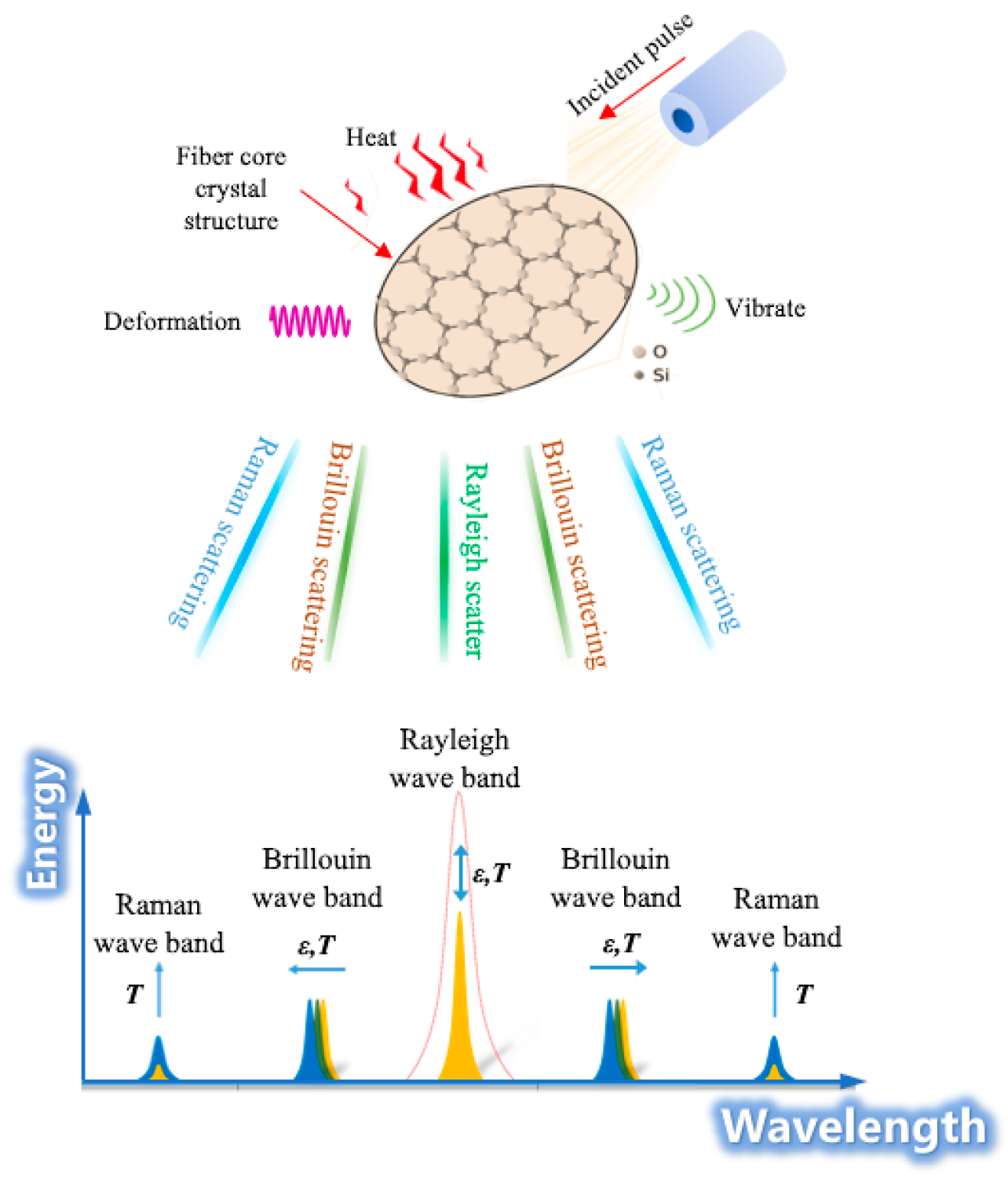 Sensors 23 05947 g005