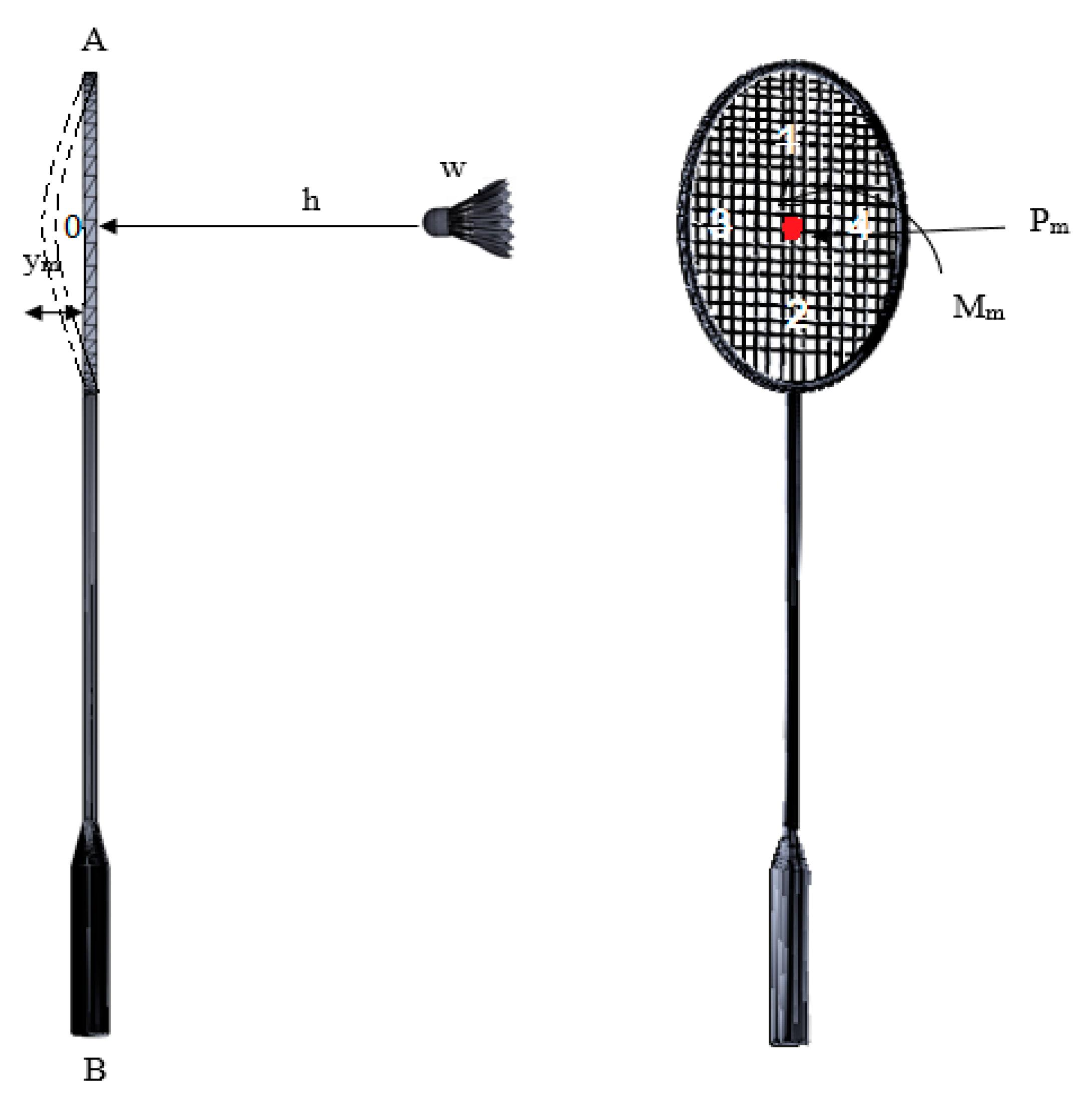 Sensors Free FullText Experimental and Computer Simulation Studies
