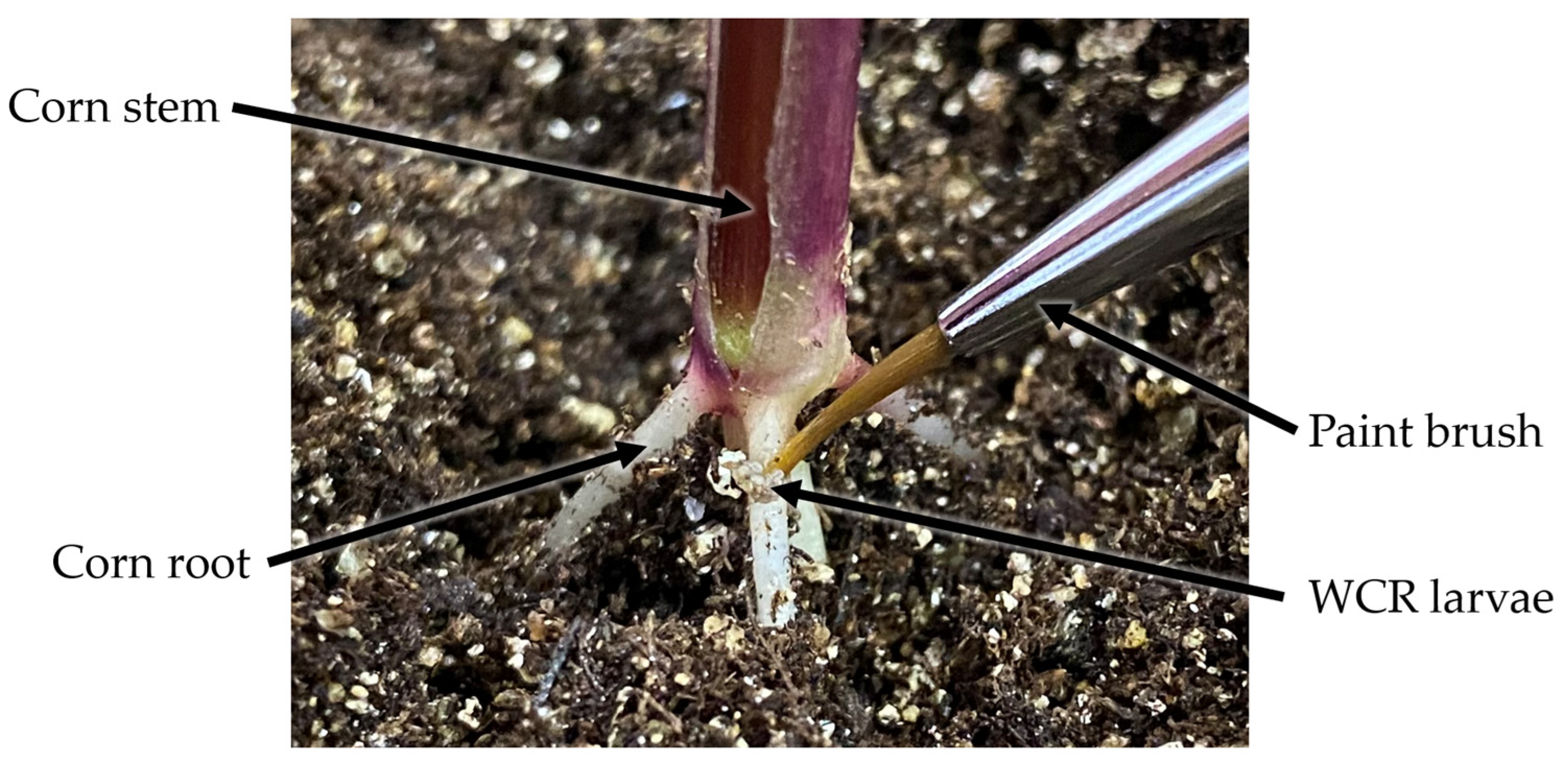 Sensors 23 05995 g001