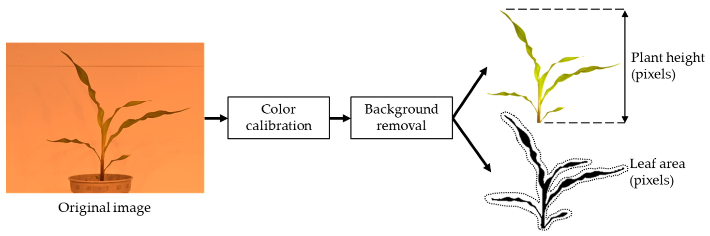 Sensors 23 05995 g004