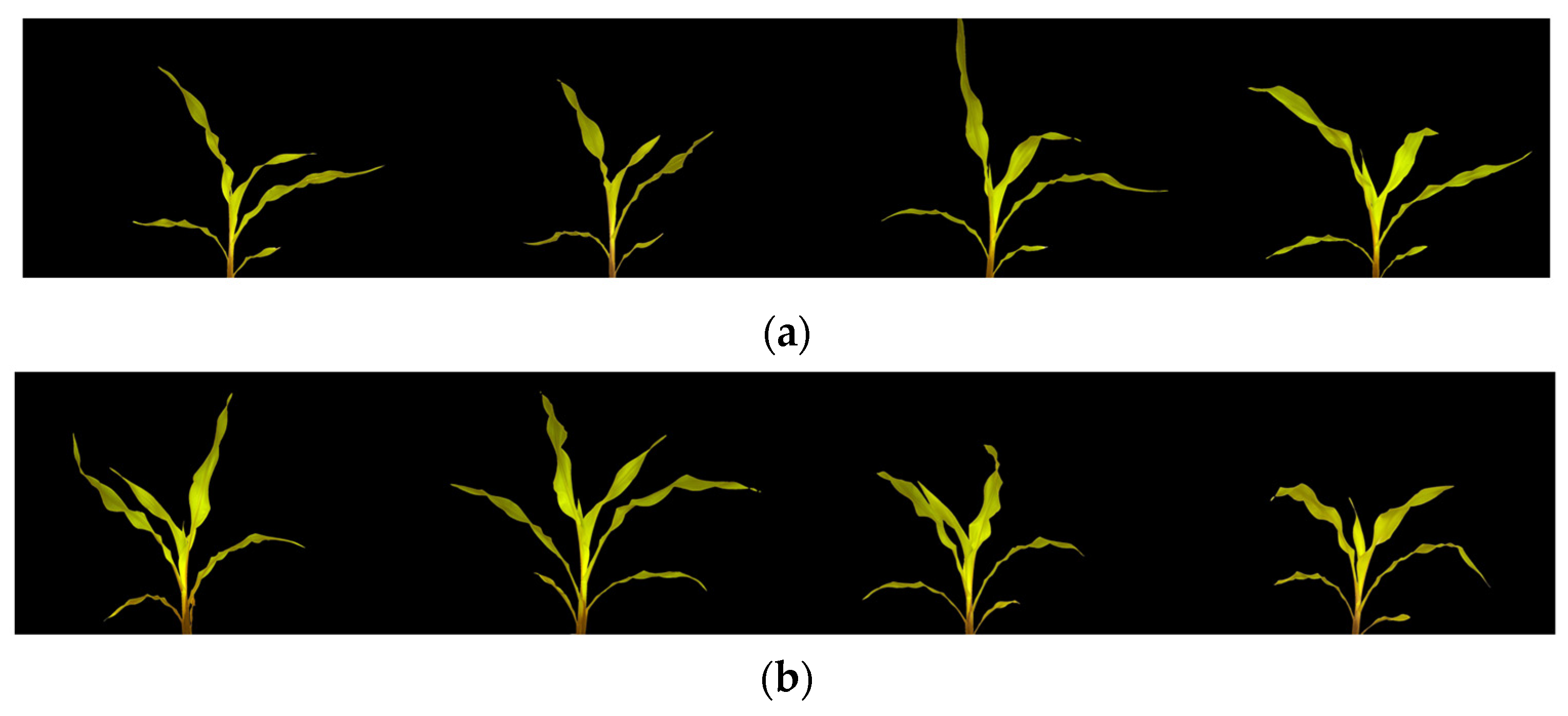 Sensors 23 05995 g008