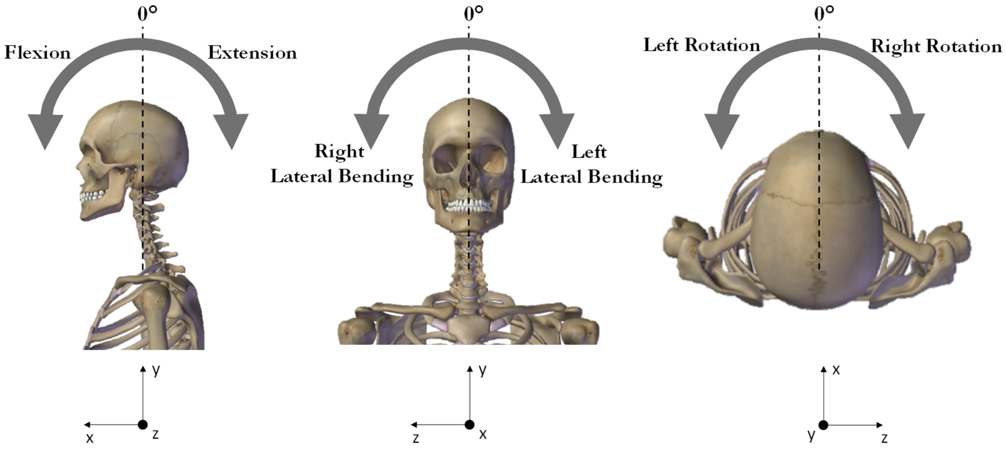 Six Movements of the Neck  Front Range Center for Brain & Spine