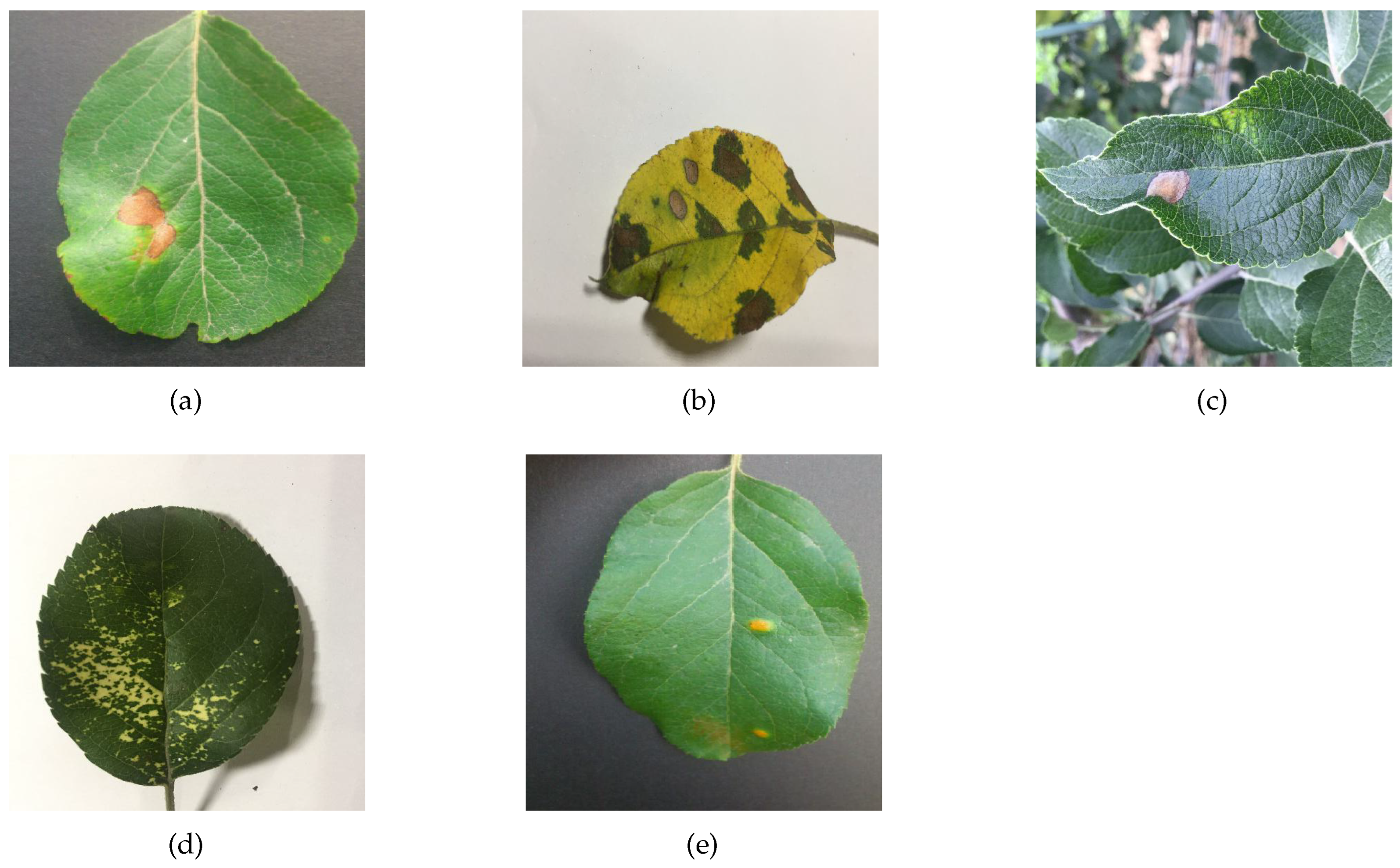 Sensors 23 06015 g008