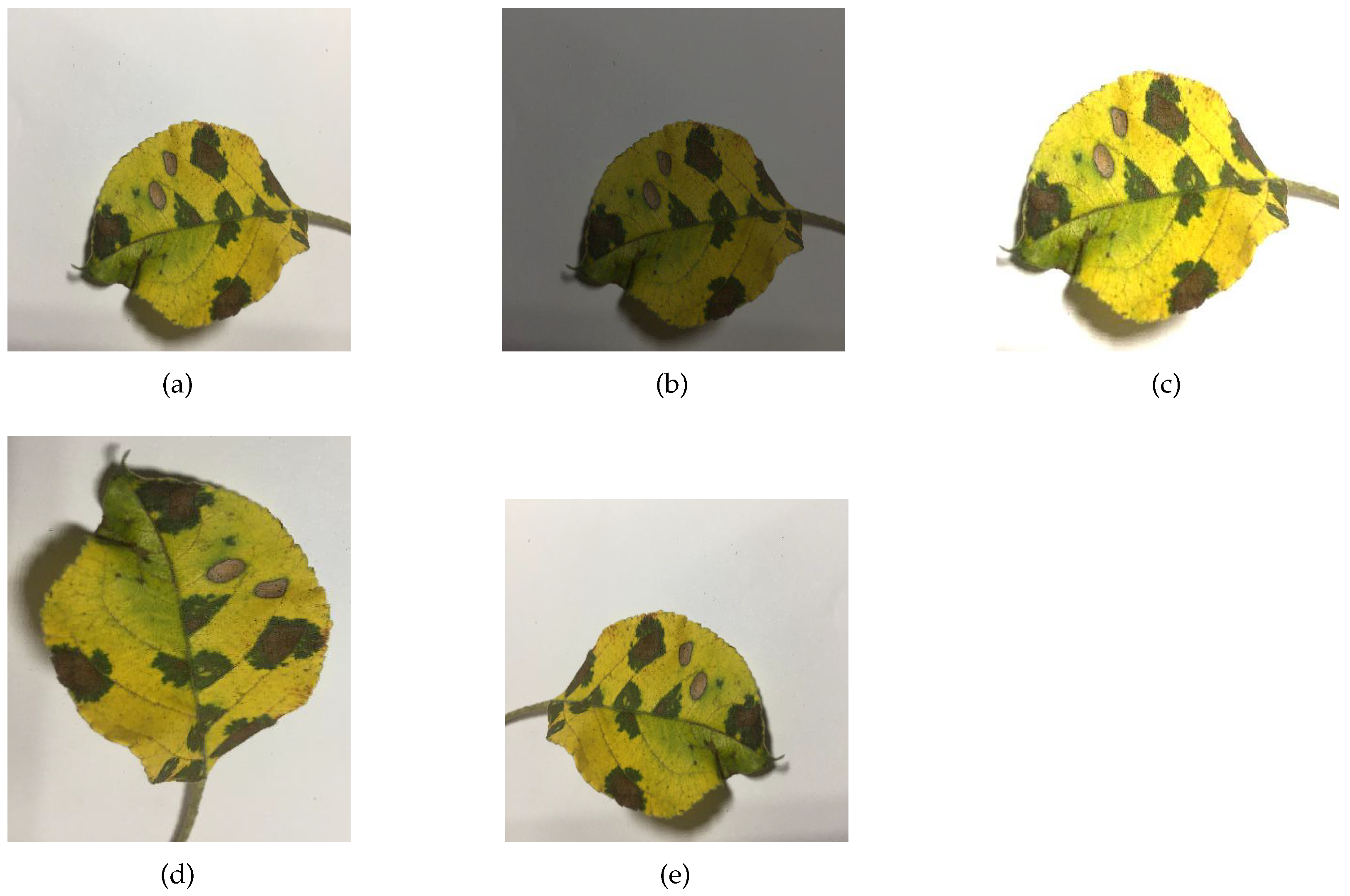 Sensors 23 06015 g009