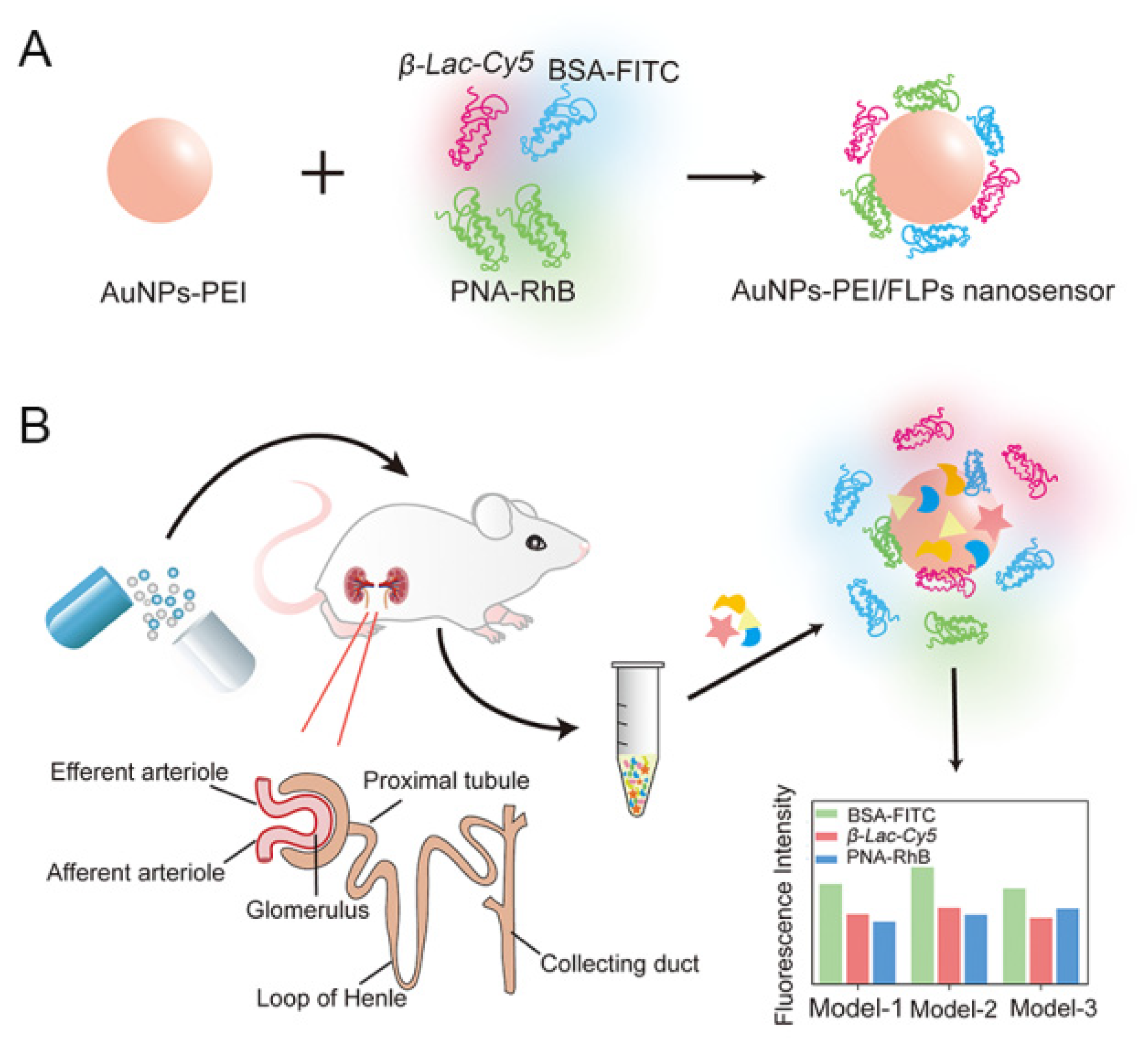 Sensors 23 06114 g001