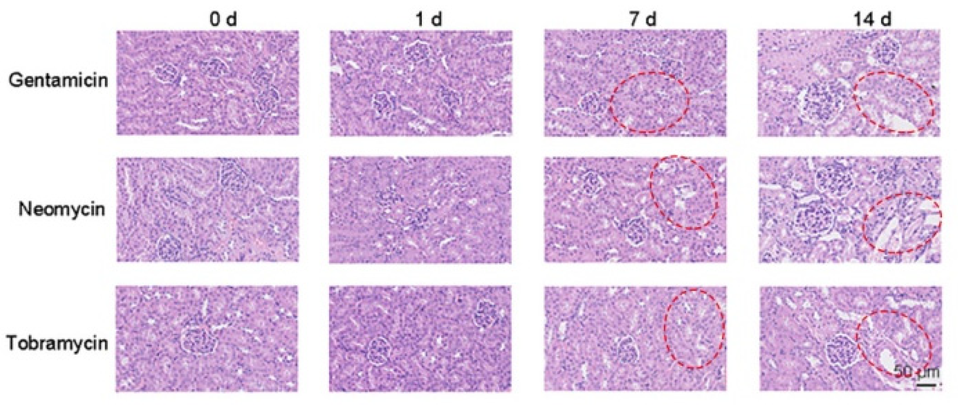 Sensors 23 06114 g005