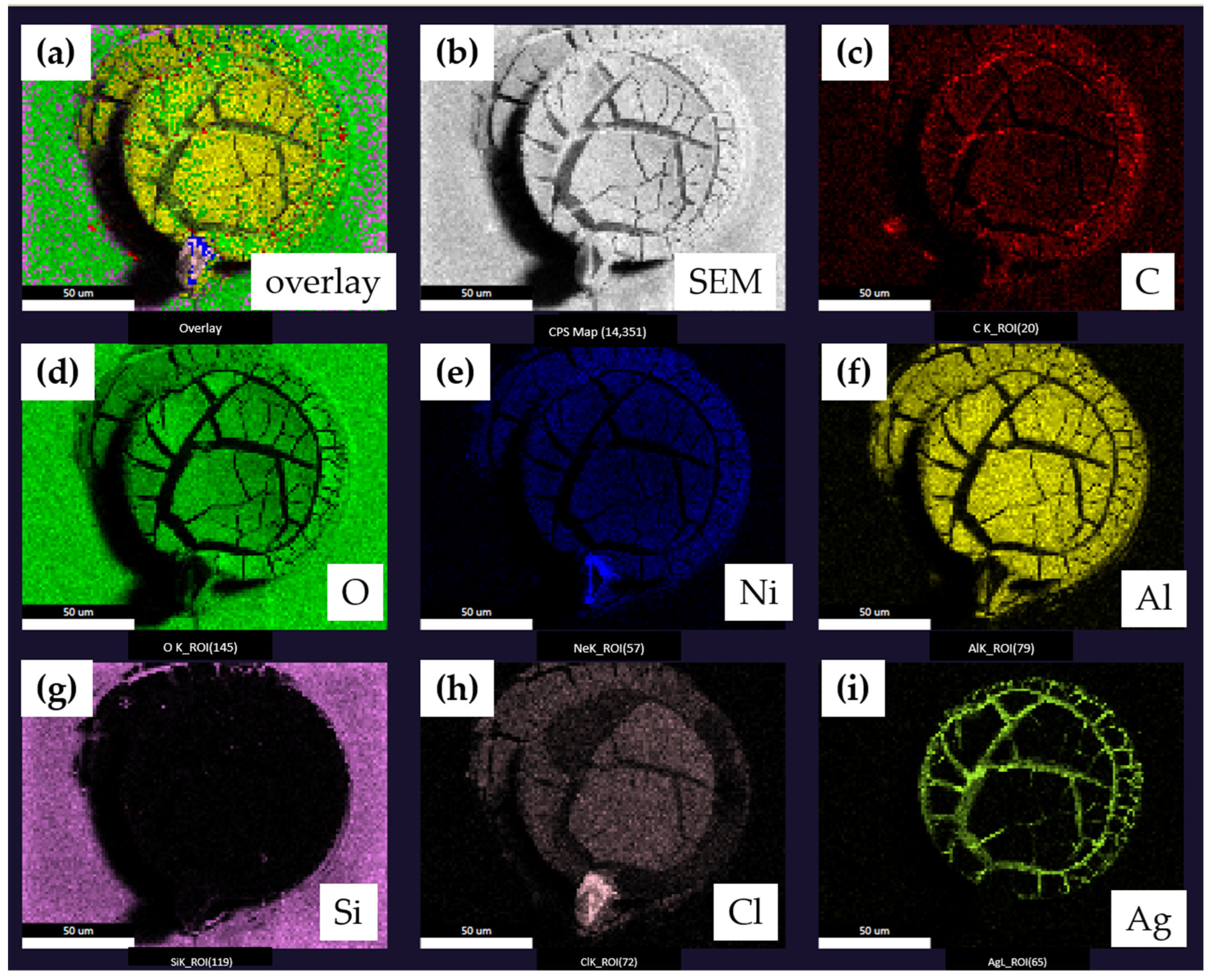 Sensors 23 06130 g006