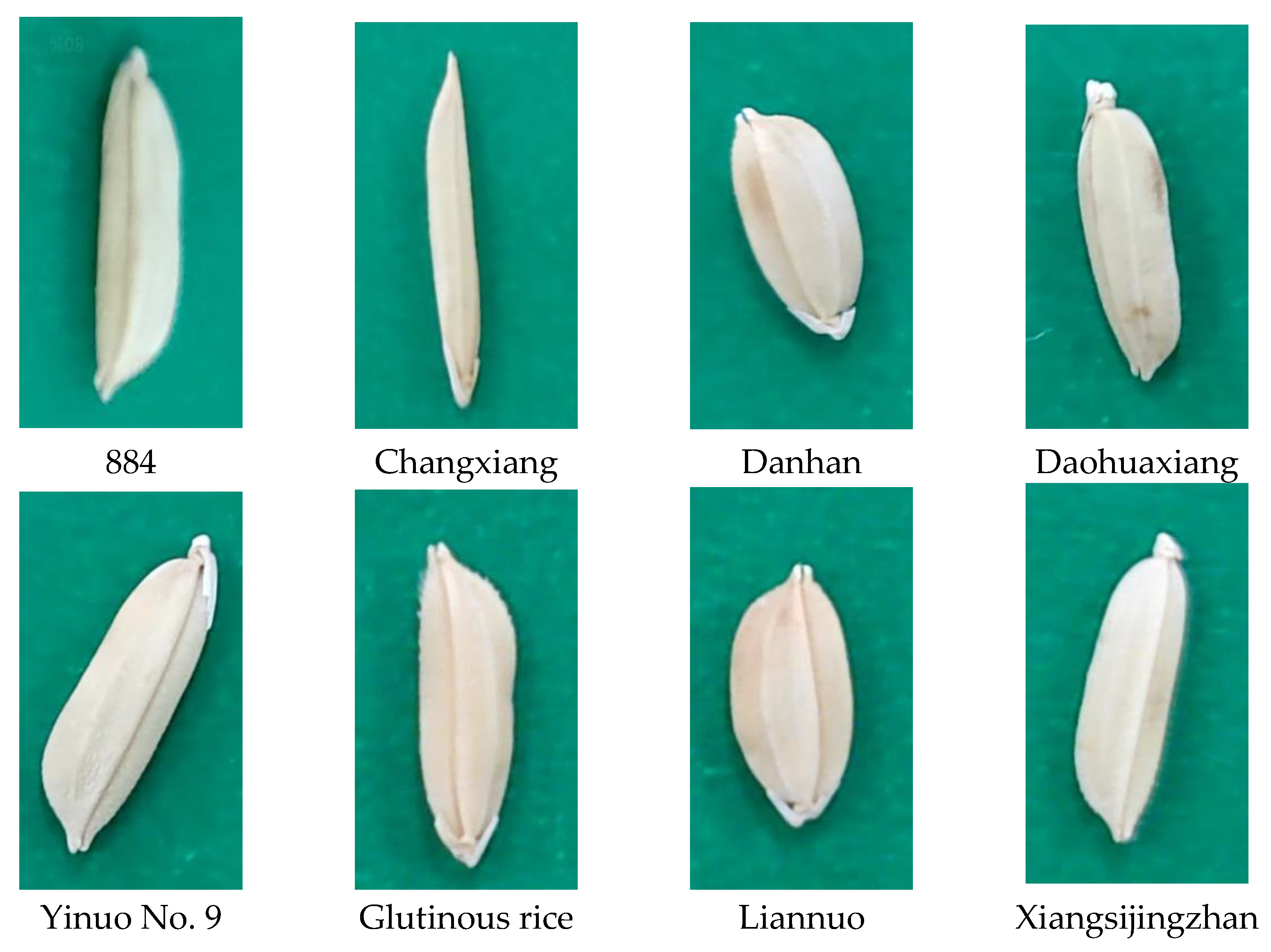 Sensors 23 06194 g002