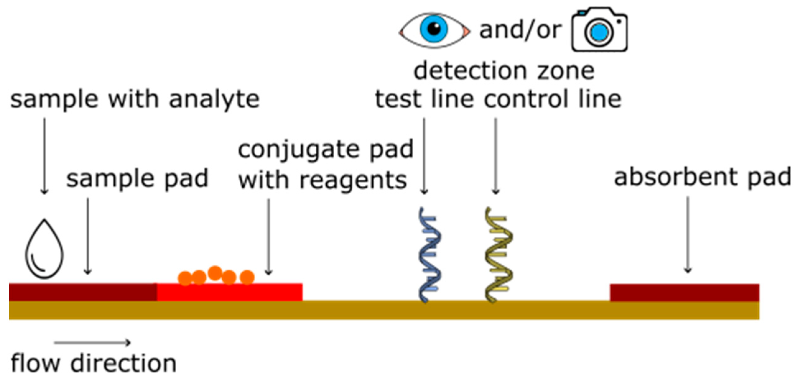 Sensors 23 06201 g002 Sensors 23 06201 g002