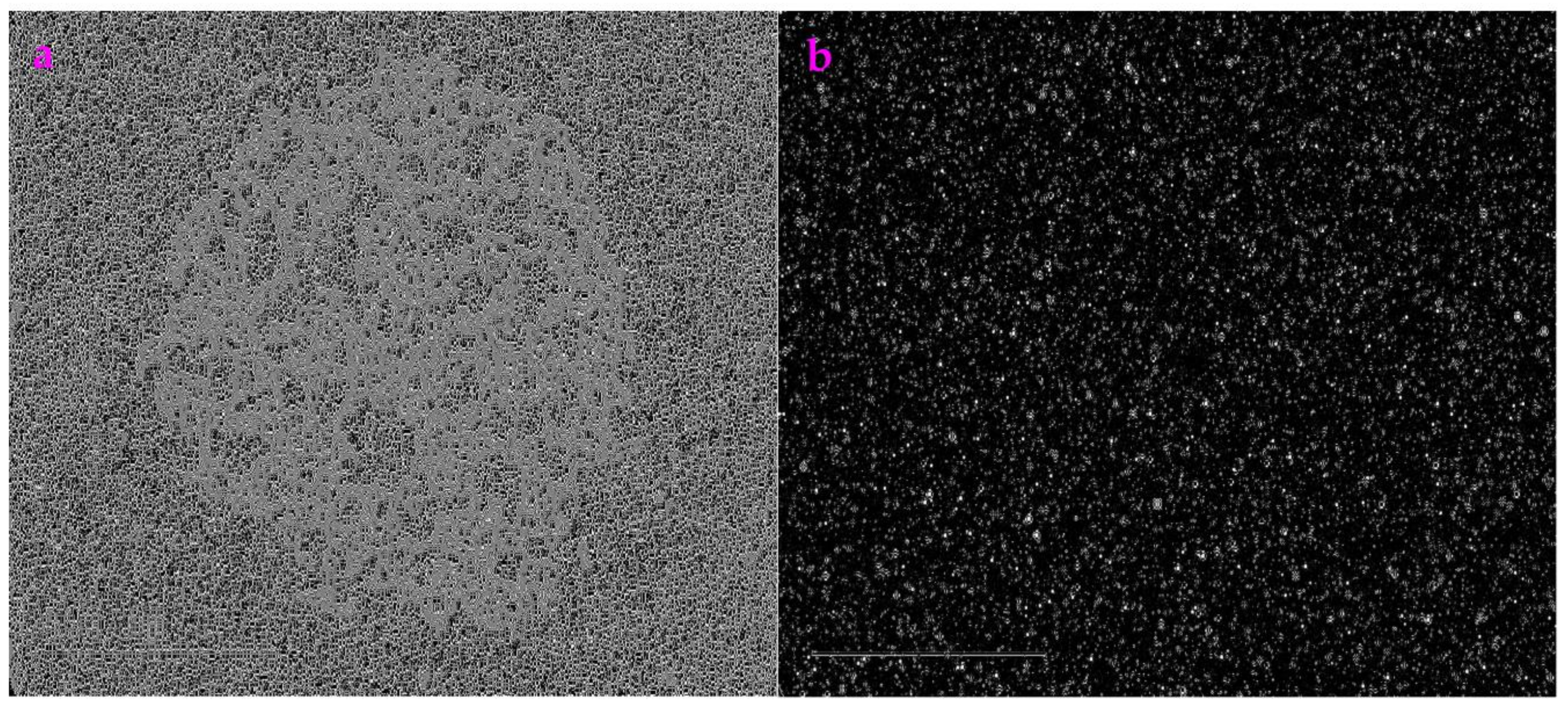 Sensors 23 06207 g007